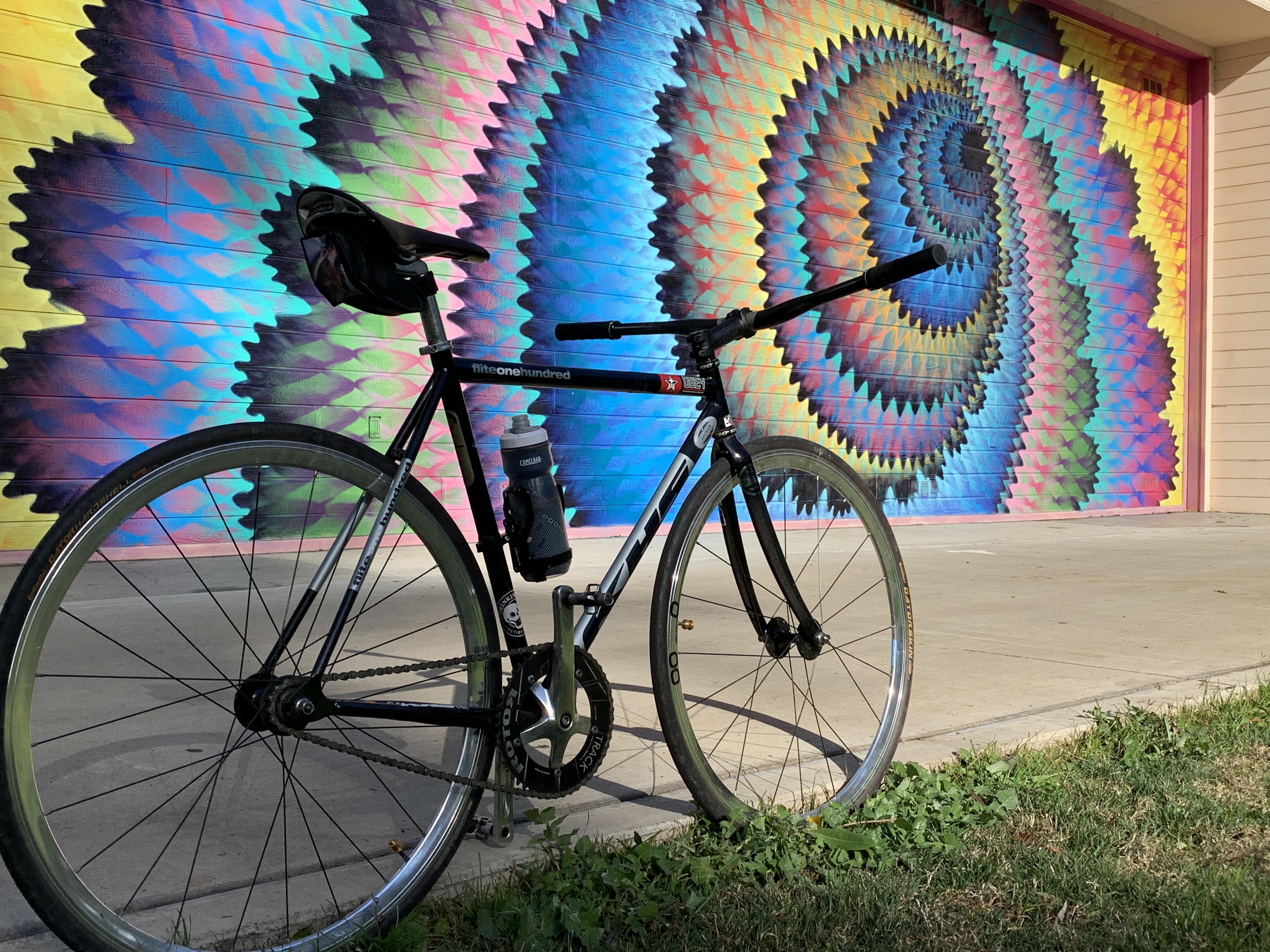 Sac State wall art r/Sacramento