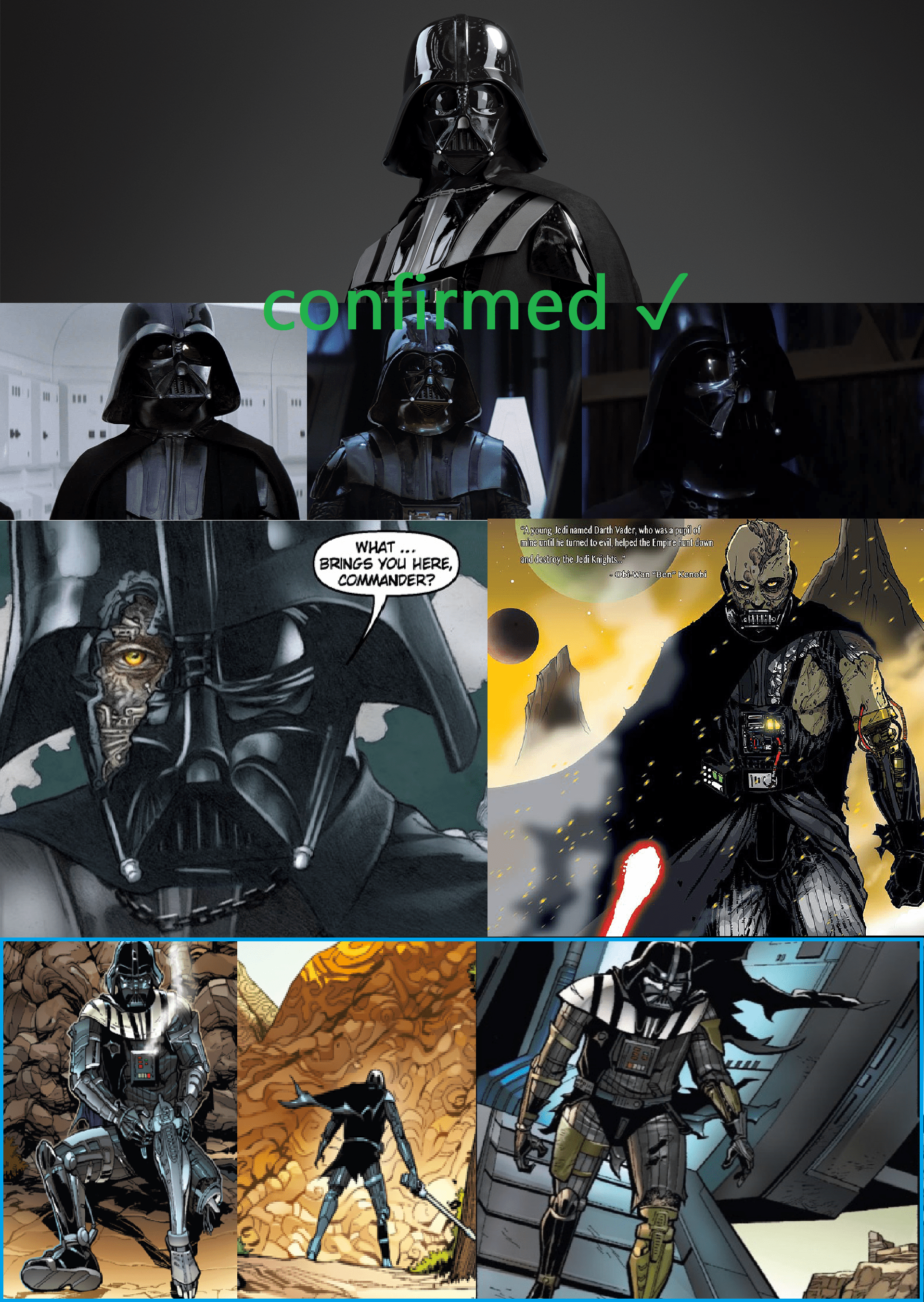 The possible skins for Star Wars Battlefront 2 Darth Vader