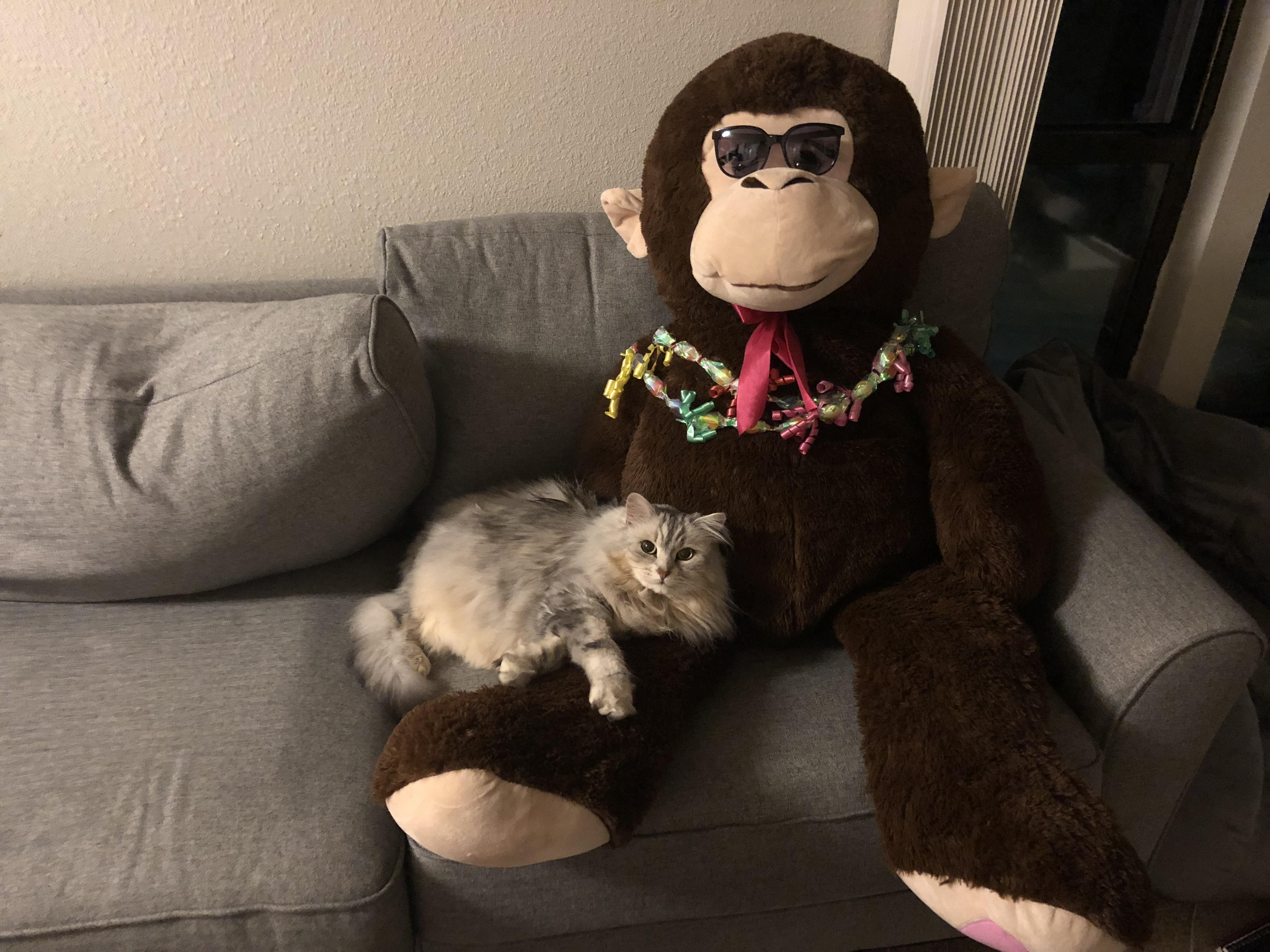 She cuddles the monkey on the couch when there are no other companions