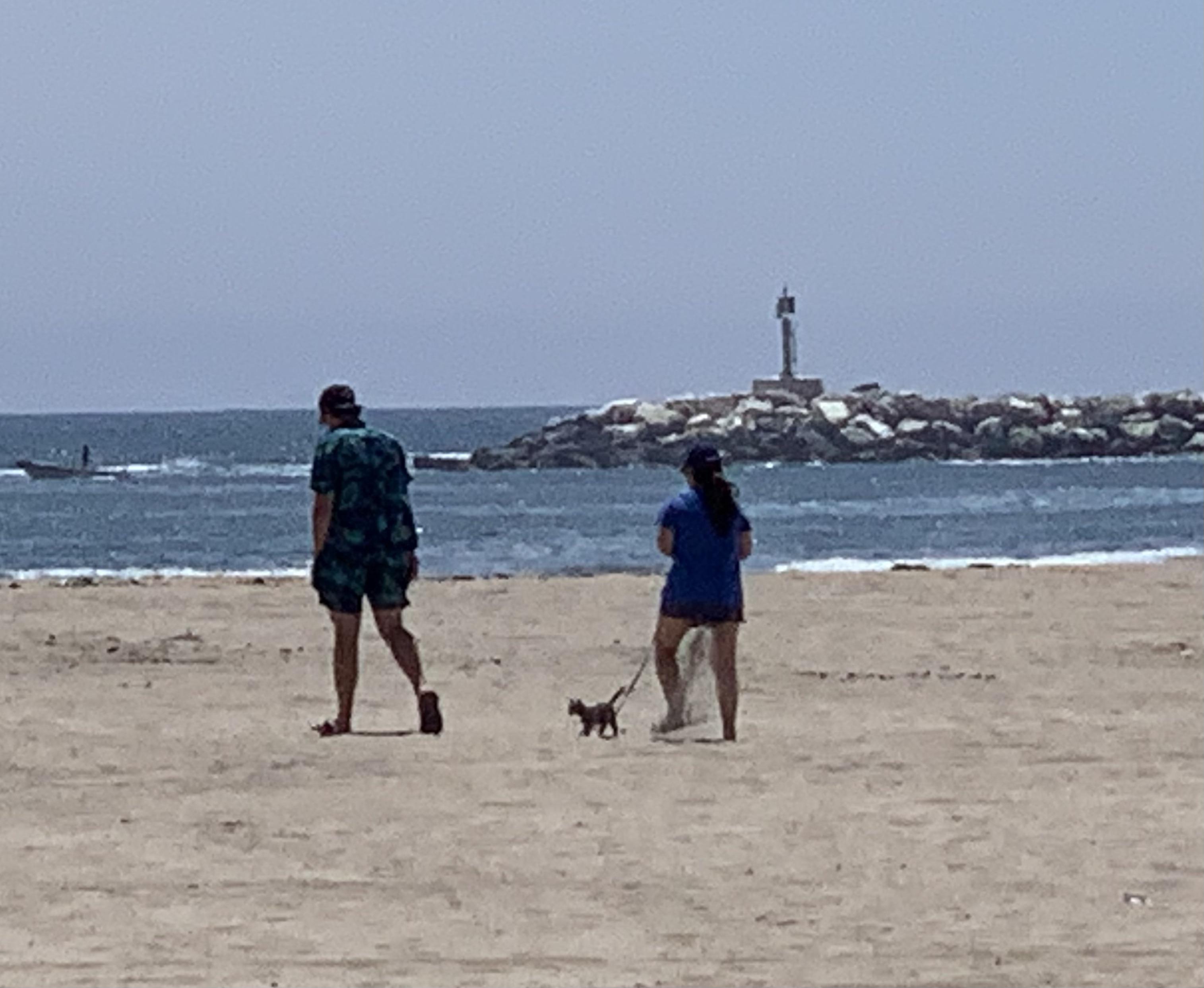 Saw this couple in Playa del Rey taking their small cat for a stroll on