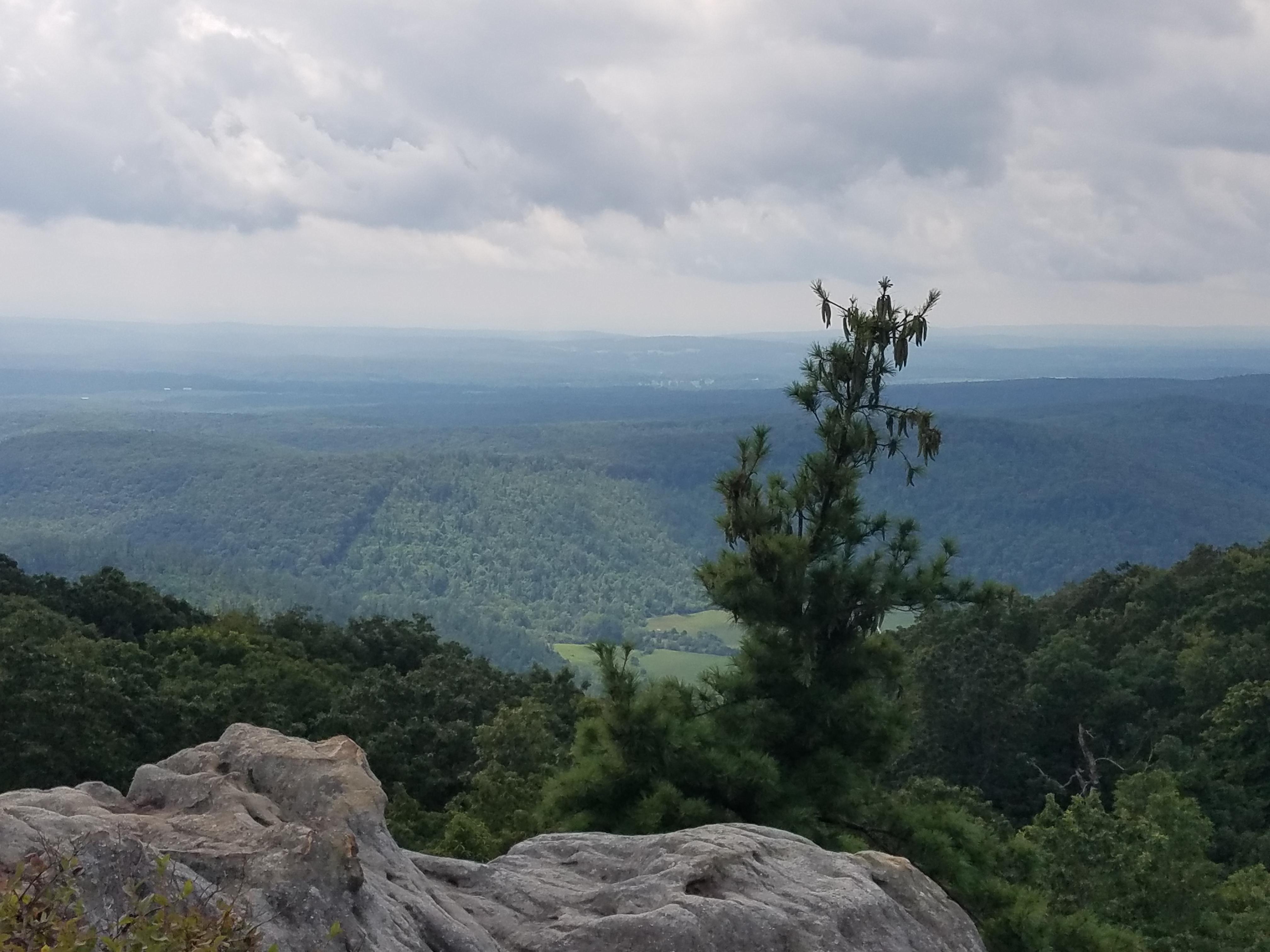 Black Mountain, TN r/hiking