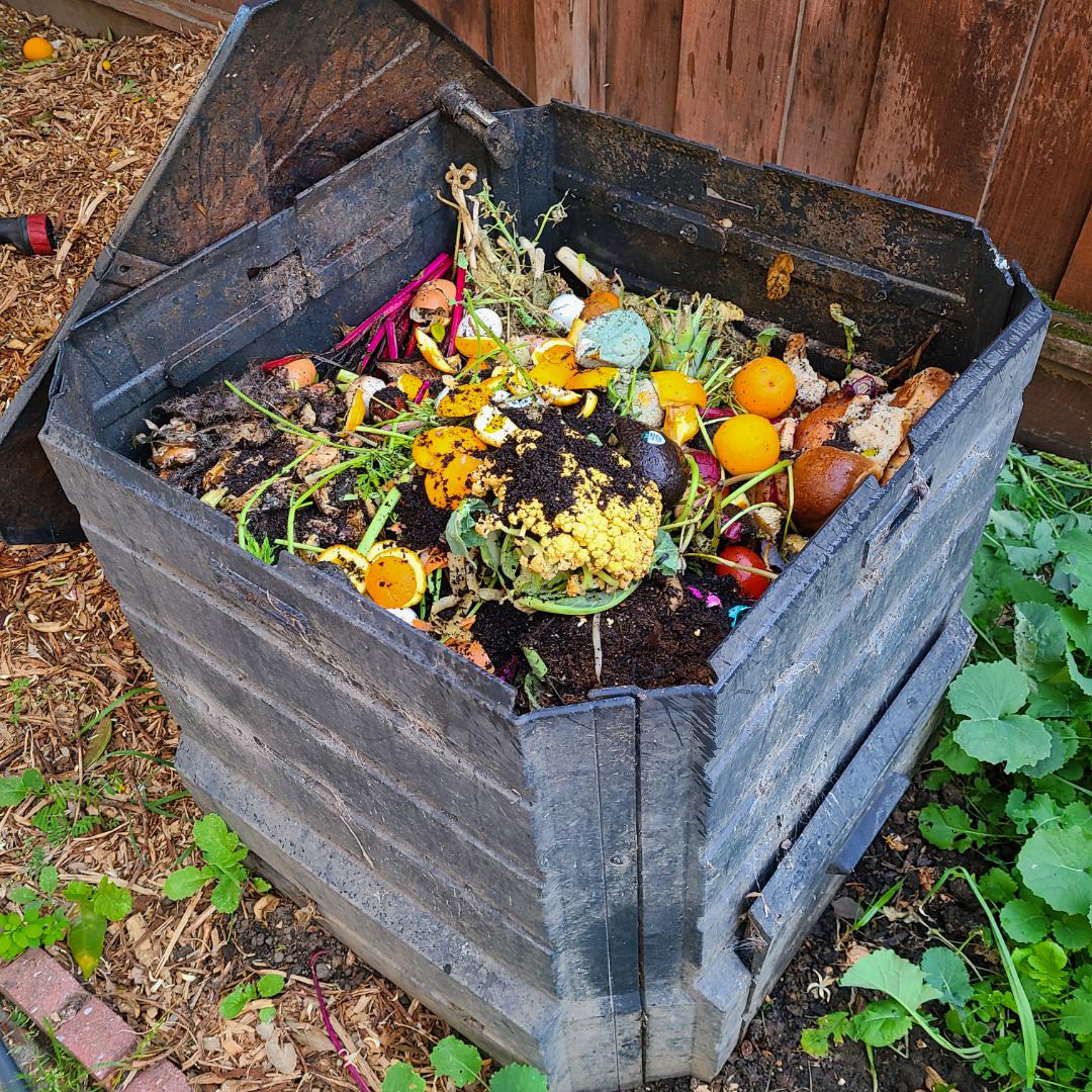Here is my compost. I put scraps from my kitchen and then it turns to