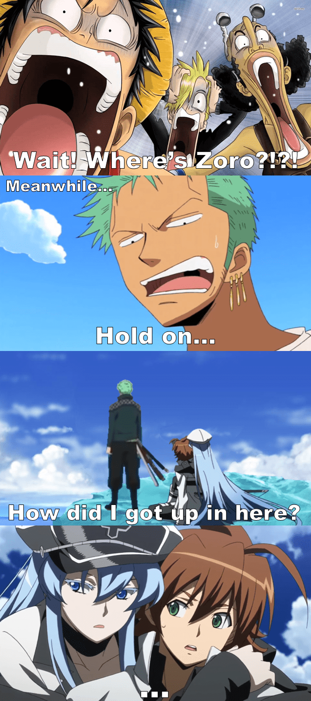 Zoro's being lost in other animes again! This time he is in an Anime