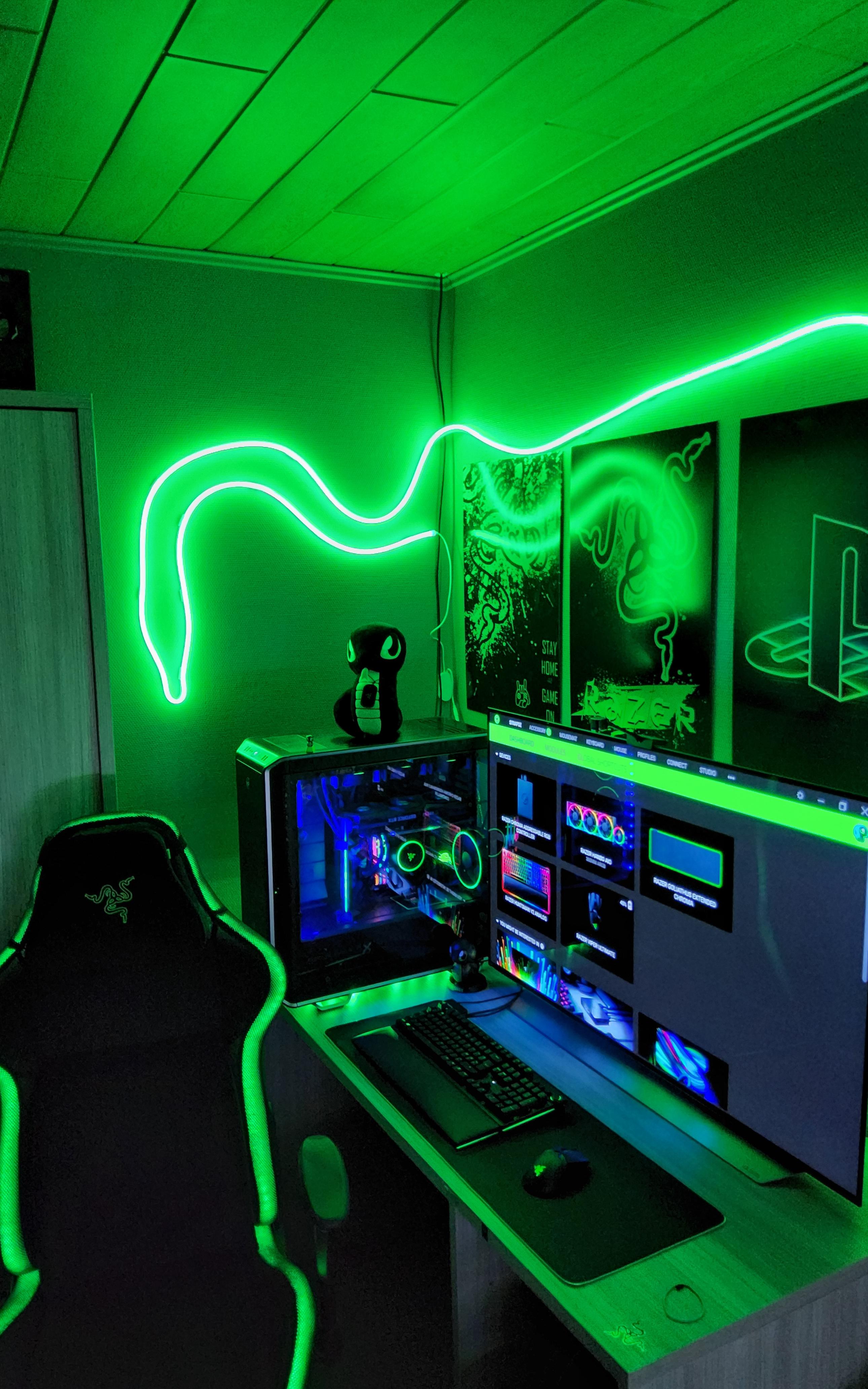 my razer setup 🐍🐍🐍 : r/razer
