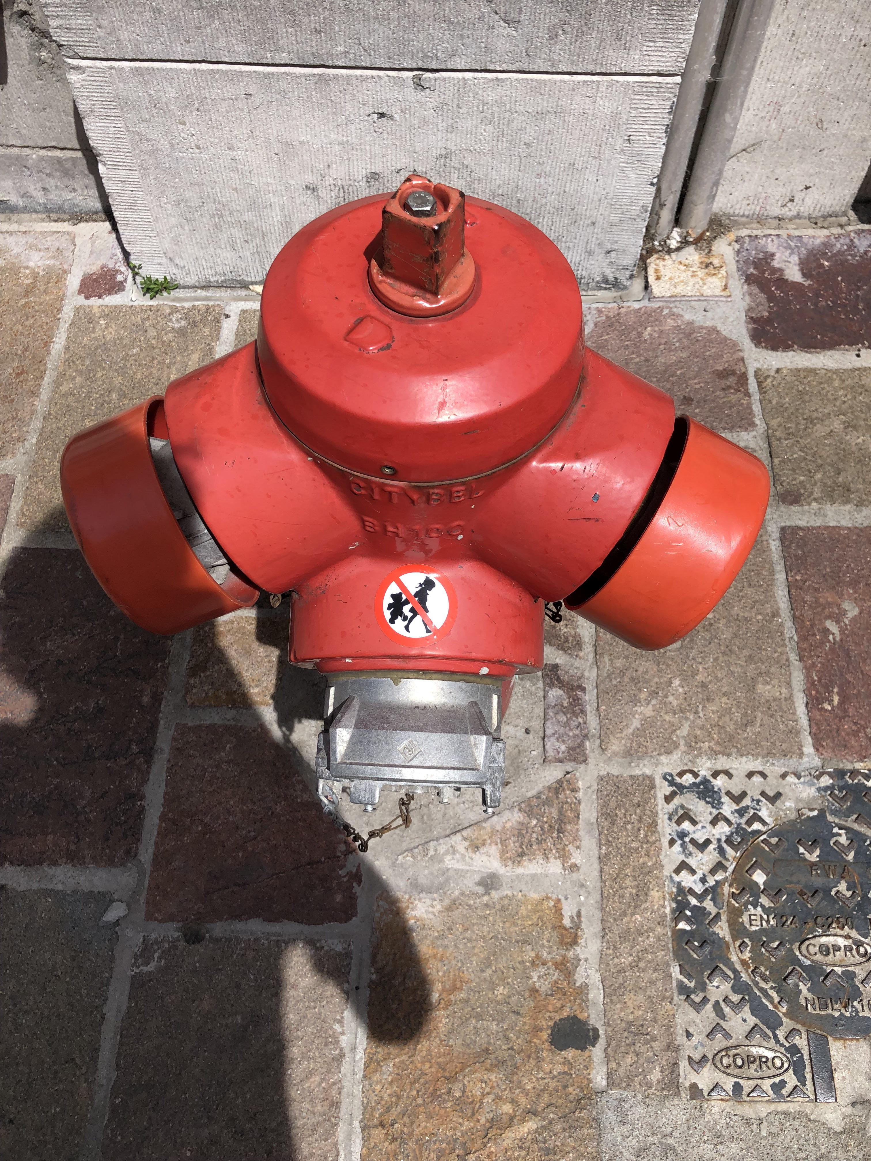 Walking here in Ghent (Belgium) only to find out our favorite girl and