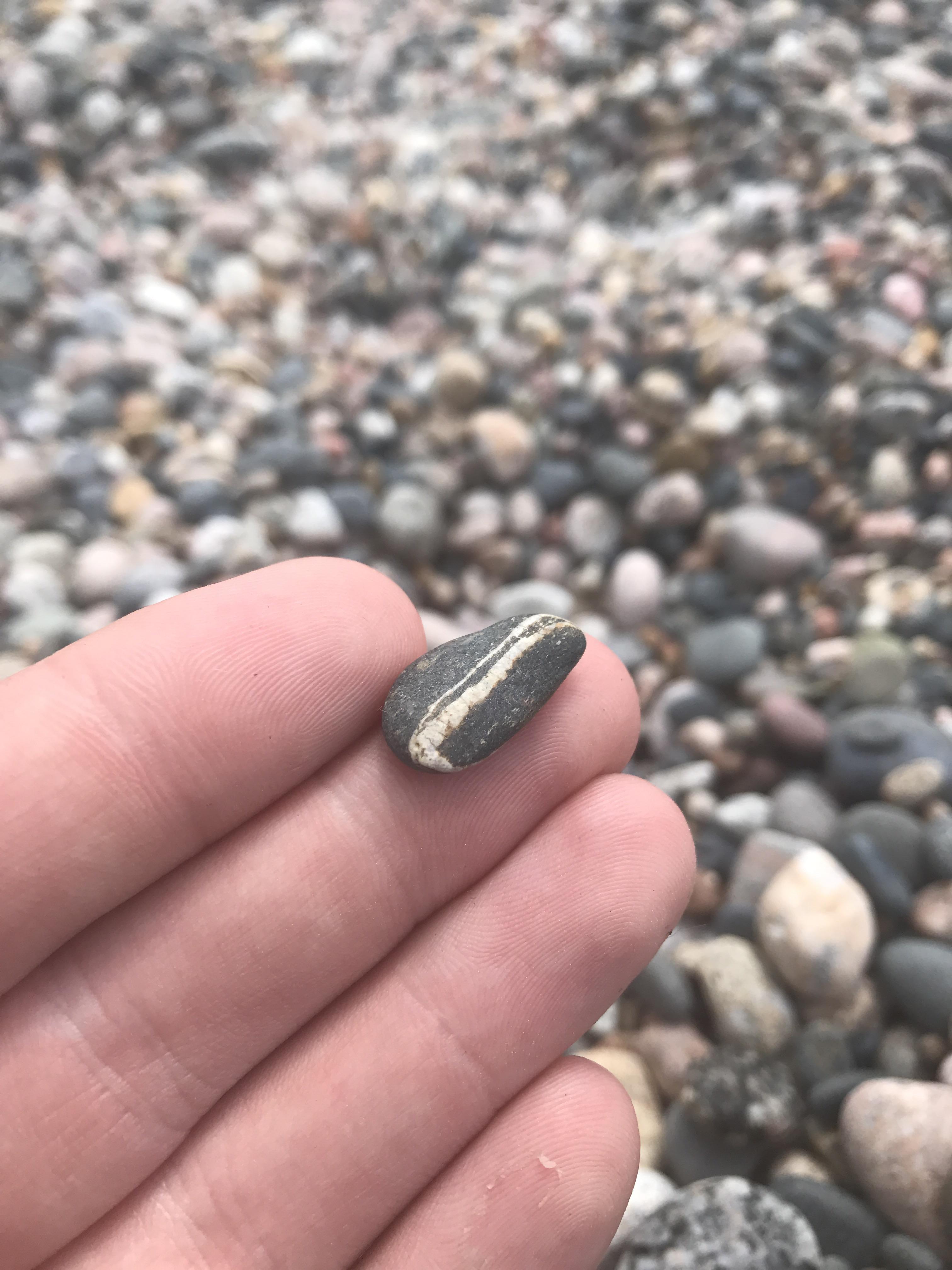 I found a rock that looks like a sunflower seed r/mildlyinteresting