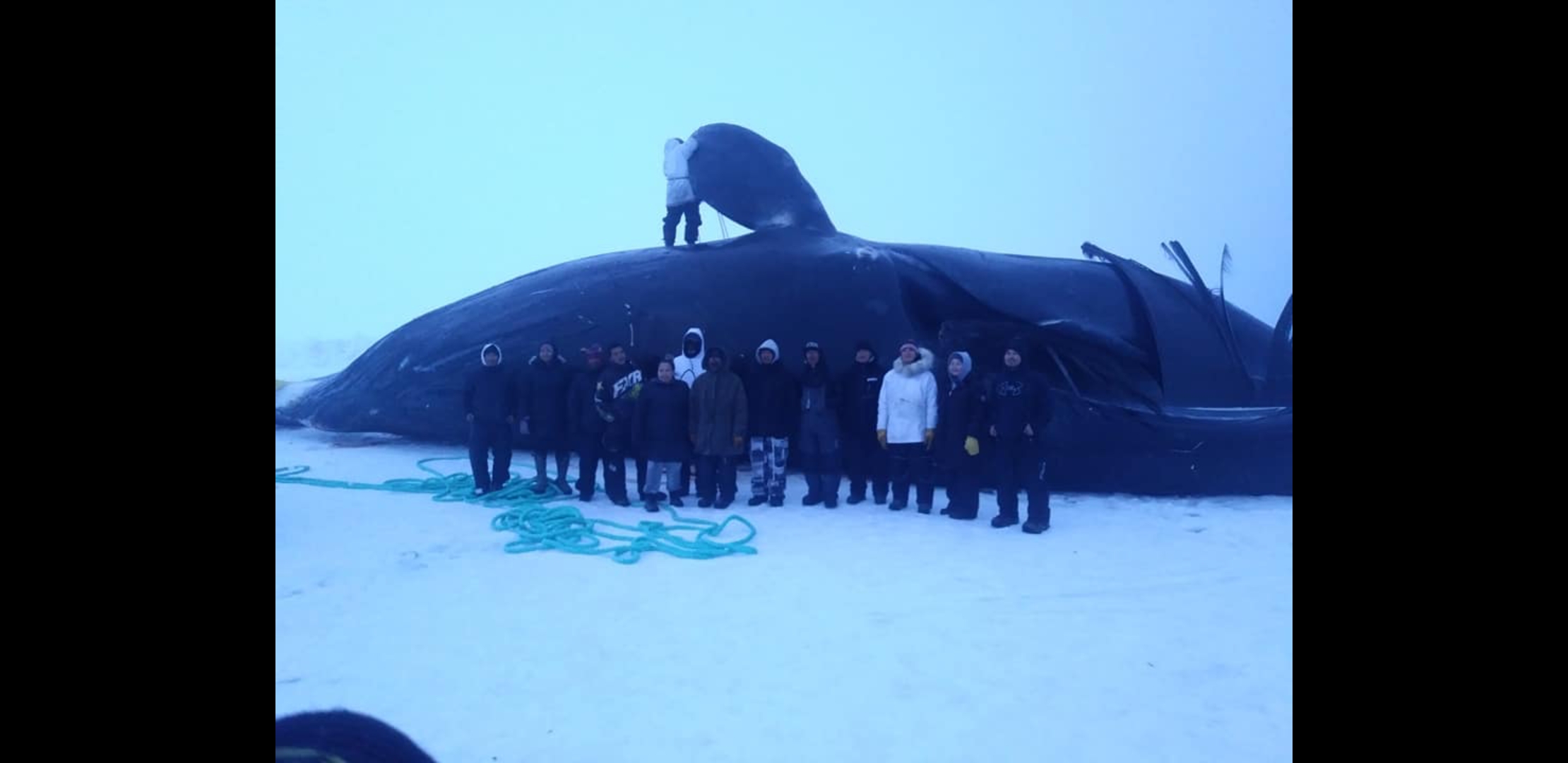 58' Bowhead caught by the village of Point Hope, May 2019 r/Hunting