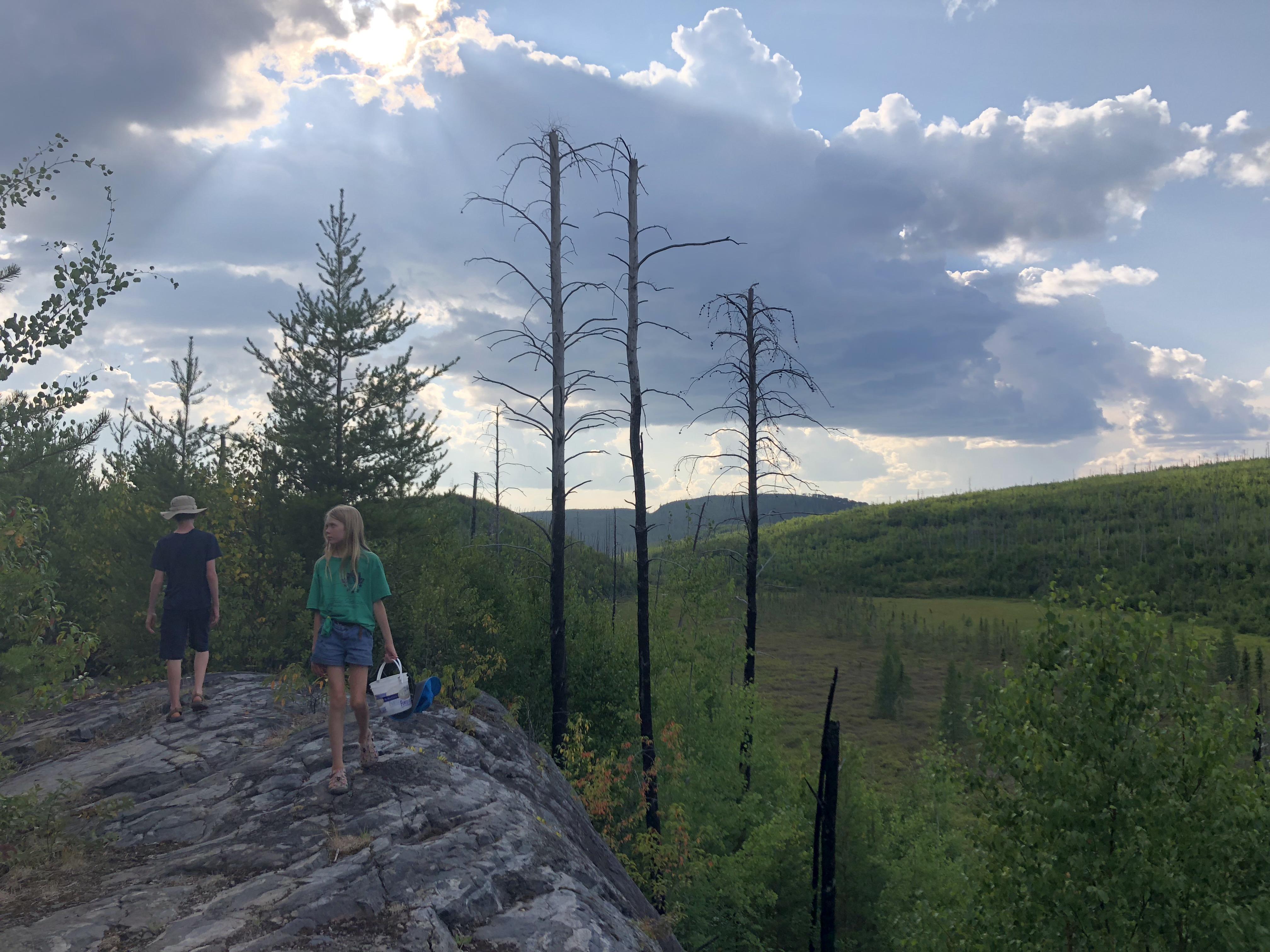Rock hike, Gunflint Trail, MN, USA (late July) r/hiking