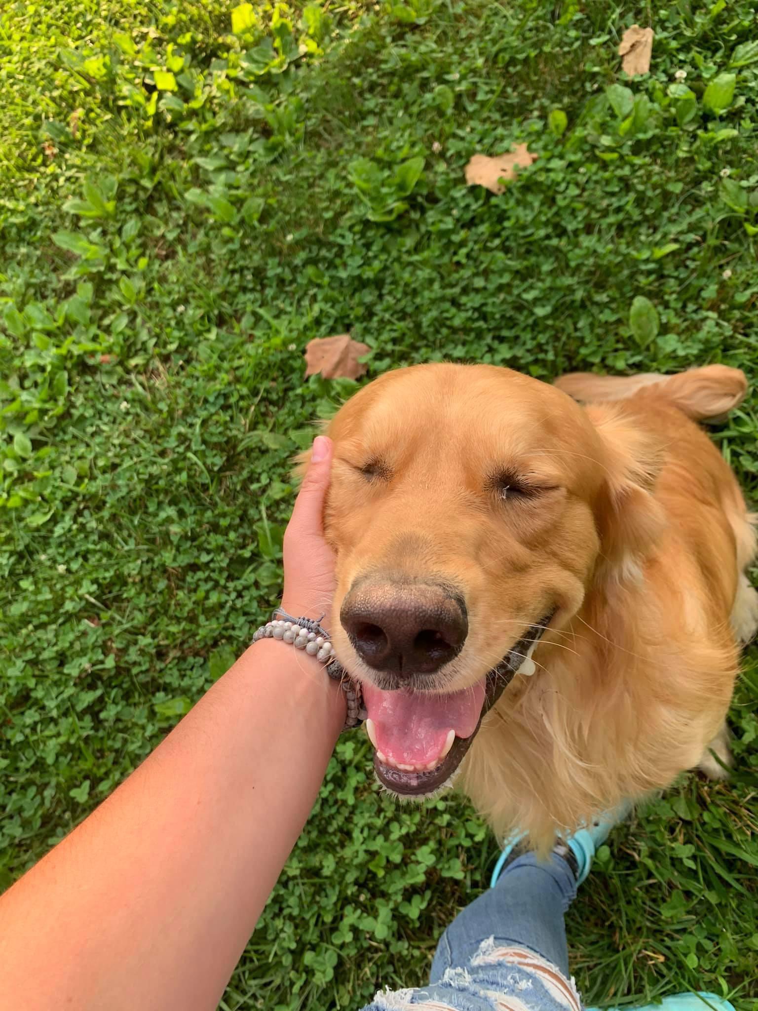 Cute dog with His food bowl Cutedogsreddit