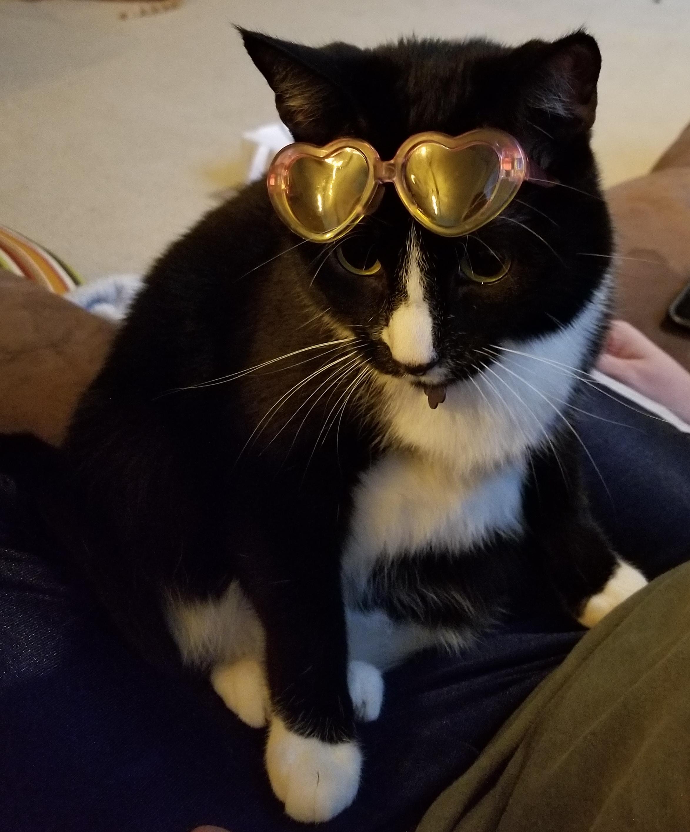 Can't see the haters with my love glasses on. r/aww