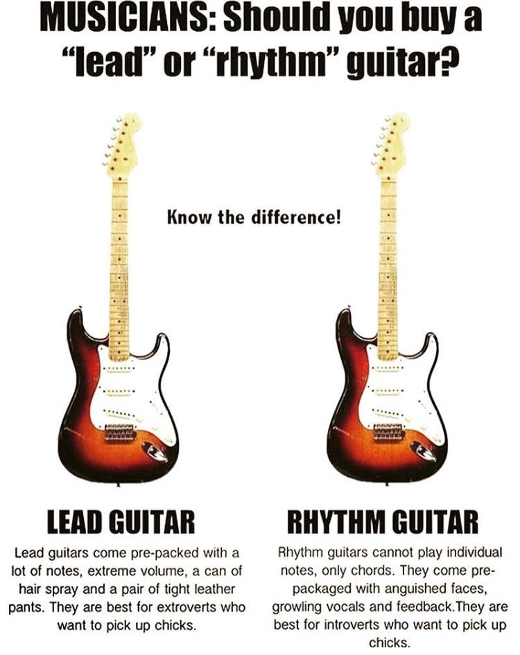 [BEGINNER] Should I get a Lead or Rhythm Guitar??? r/guitarcirclejerk