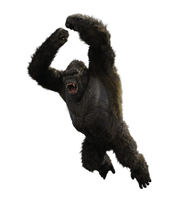 Kong (2021) PNG Render r/LegendaryKong