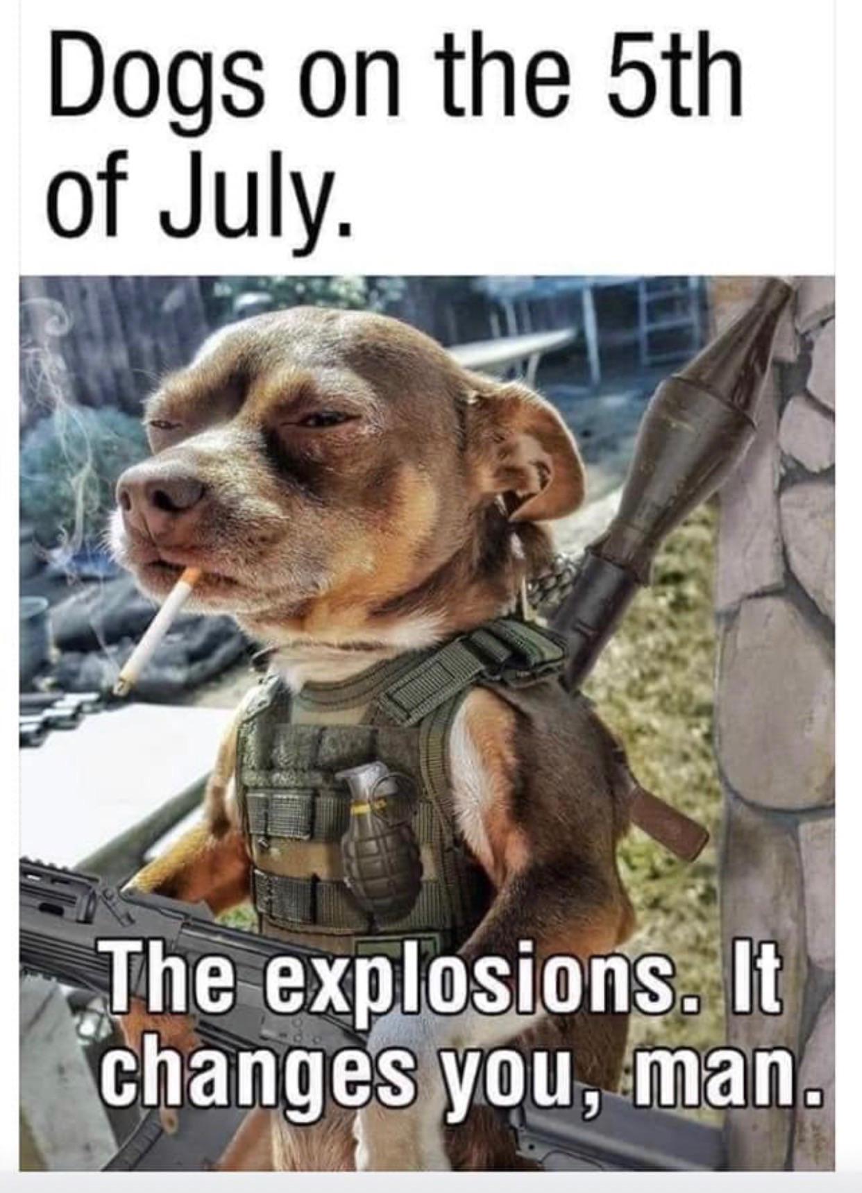 Christmas In July Memes 2023 New Ultimate Most Popular Famous