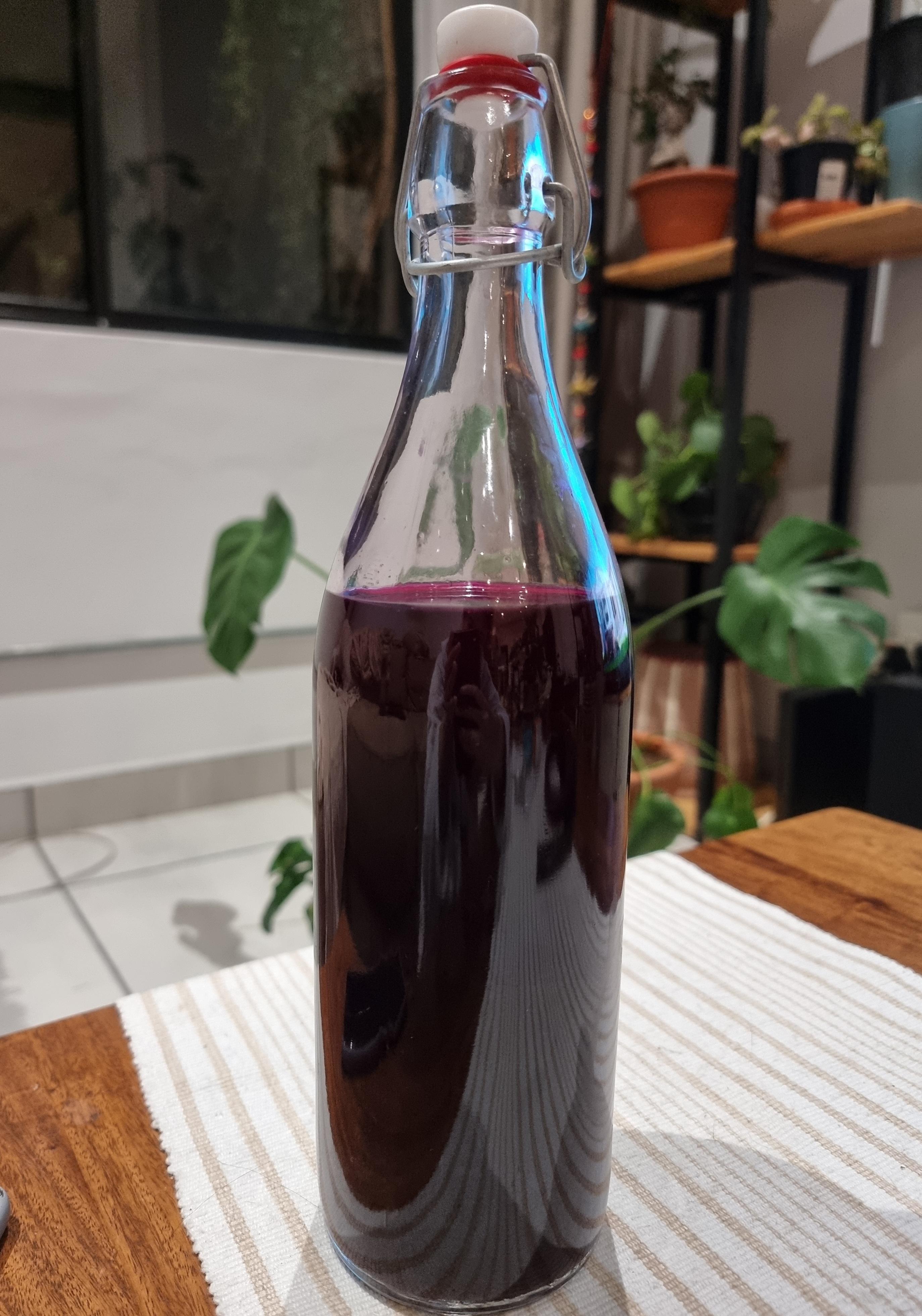 Beet Kvass in Secondary Fermentation r/fermentation