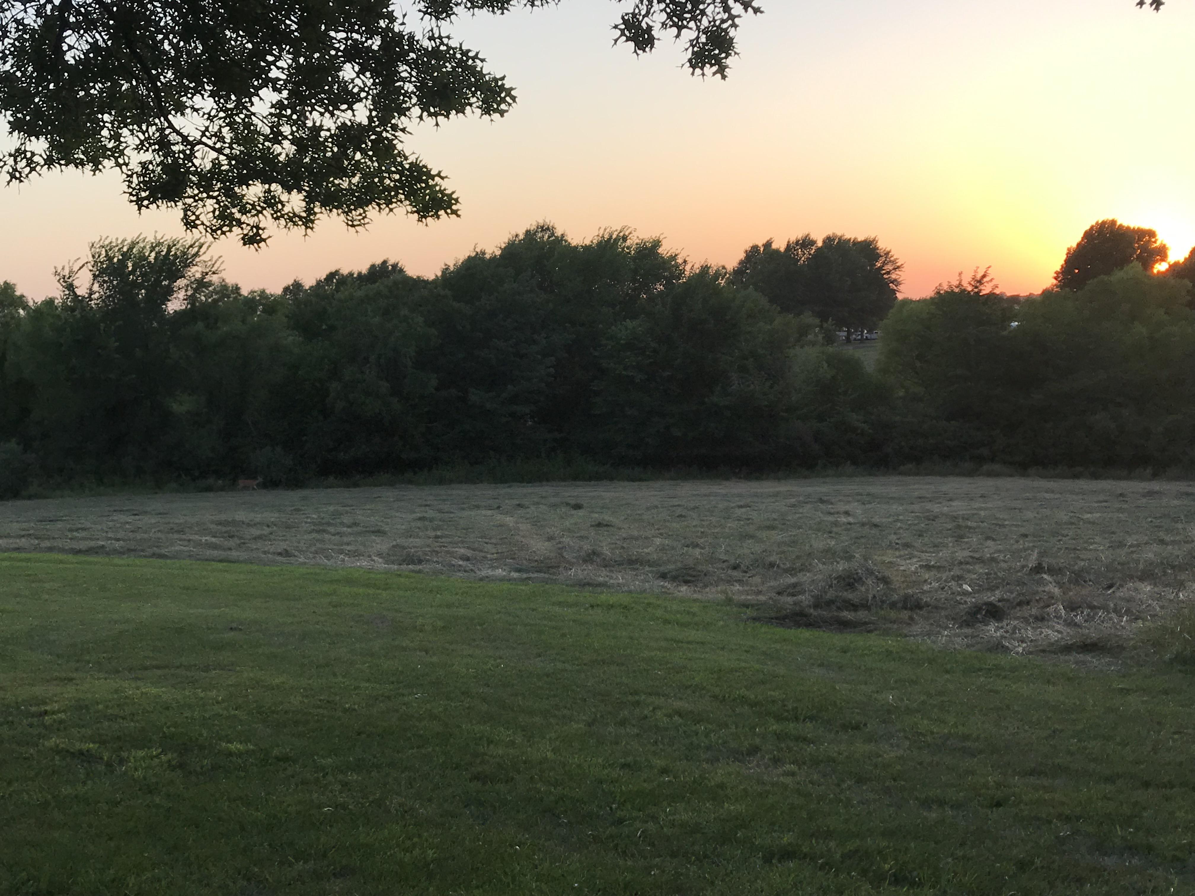 Current view at Smithville Lake, MO (deer in tree line) r/RVLiving