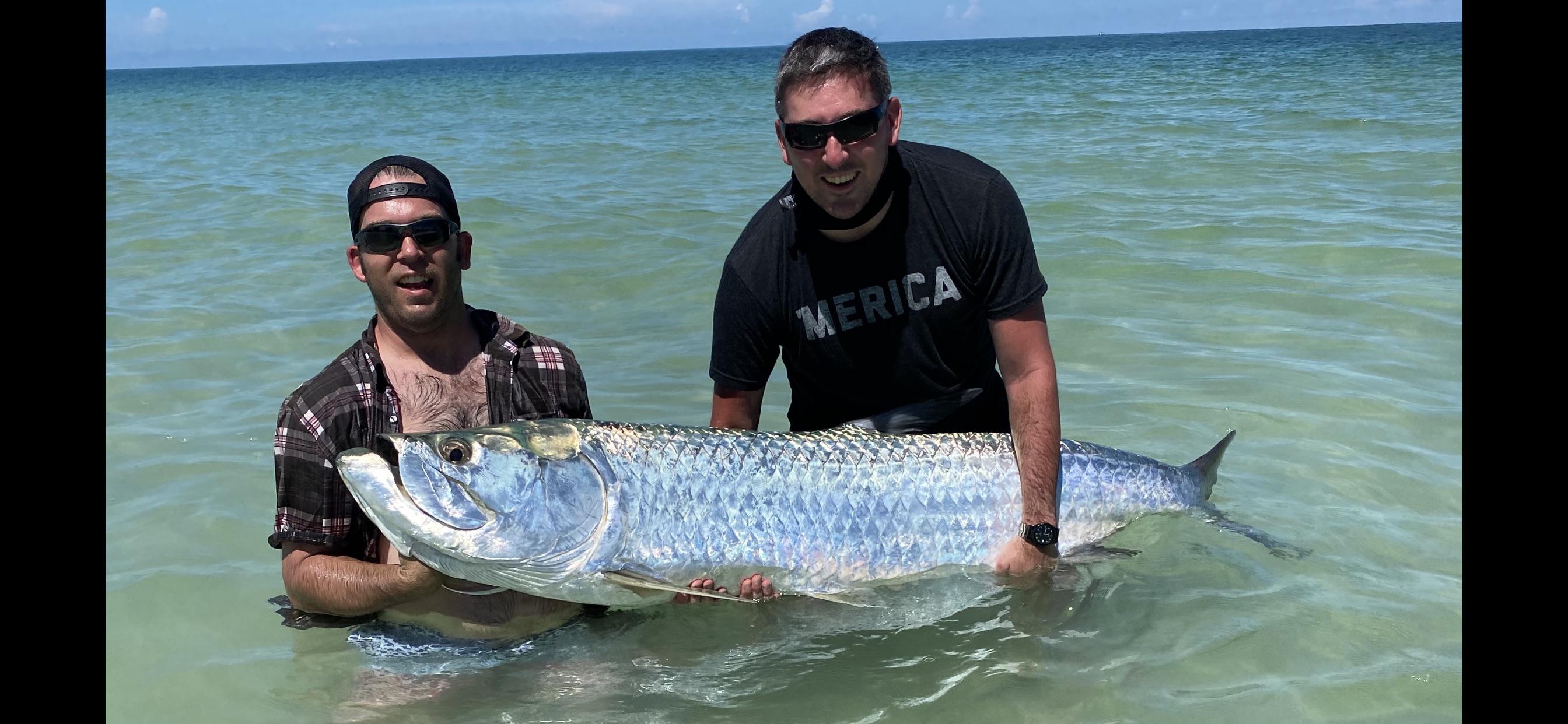 Tarpon Grabs Arm