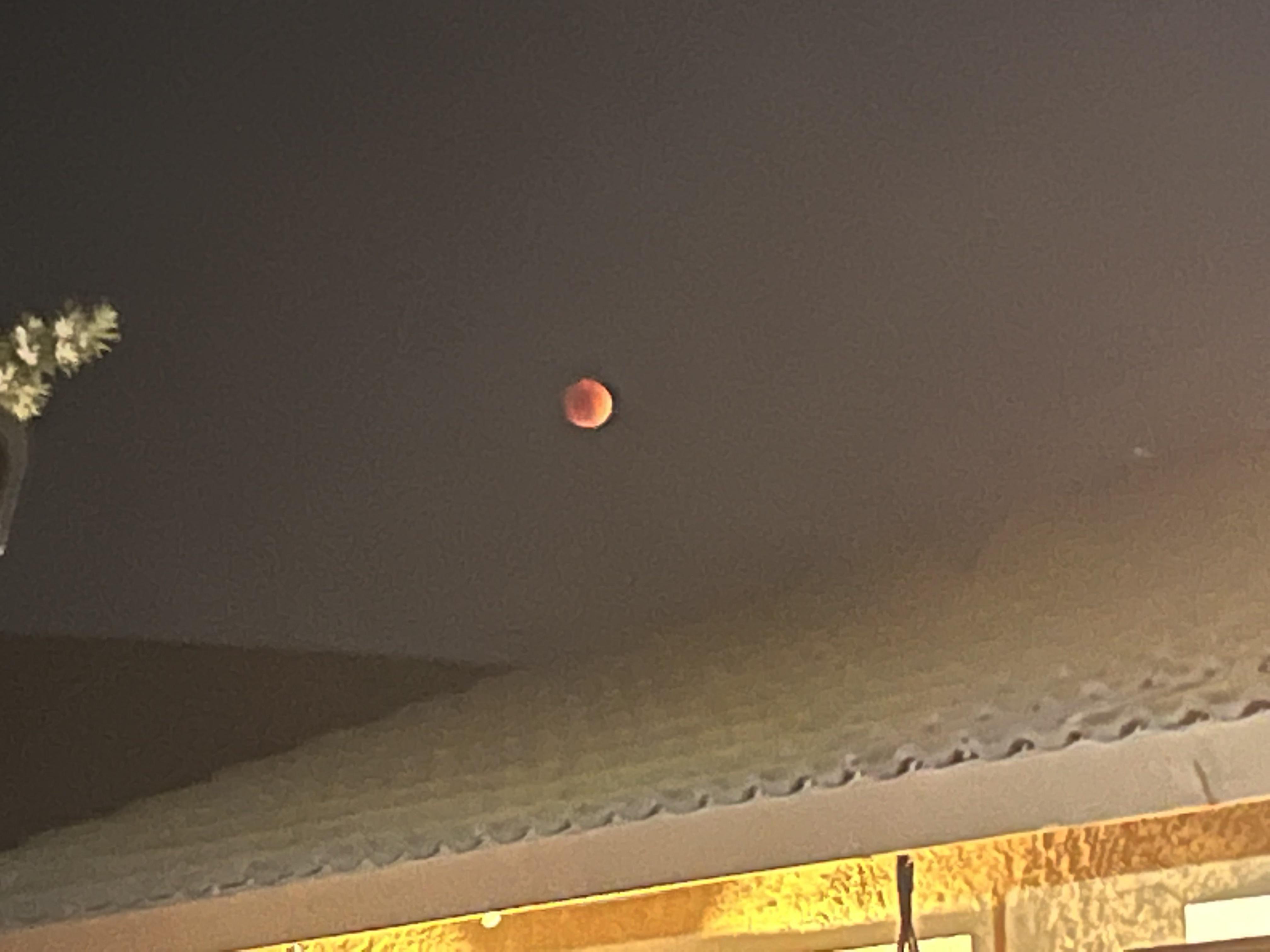 Super Flower Blood Moon {OC} r/pics