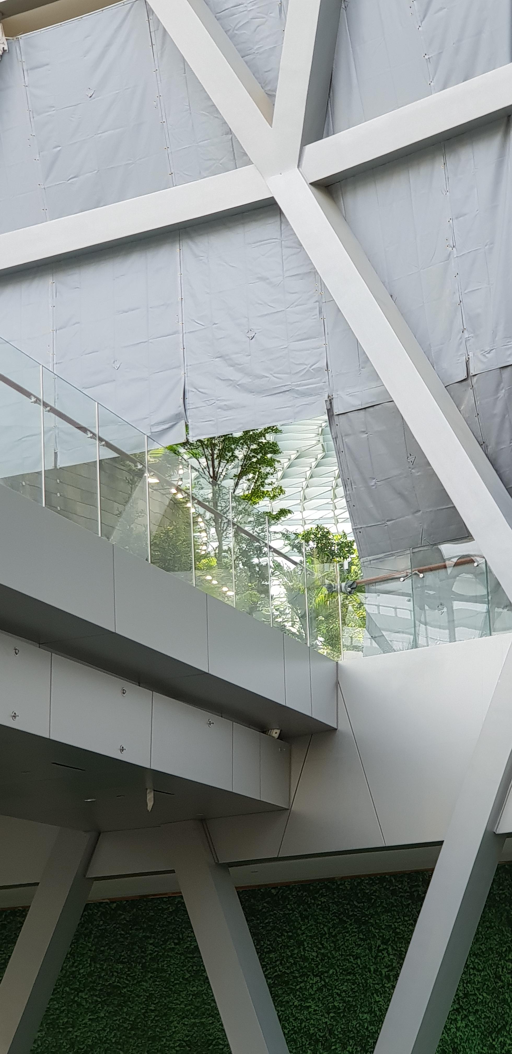 Take a literal peak into Changi Jewel. Looks great... and feels flower