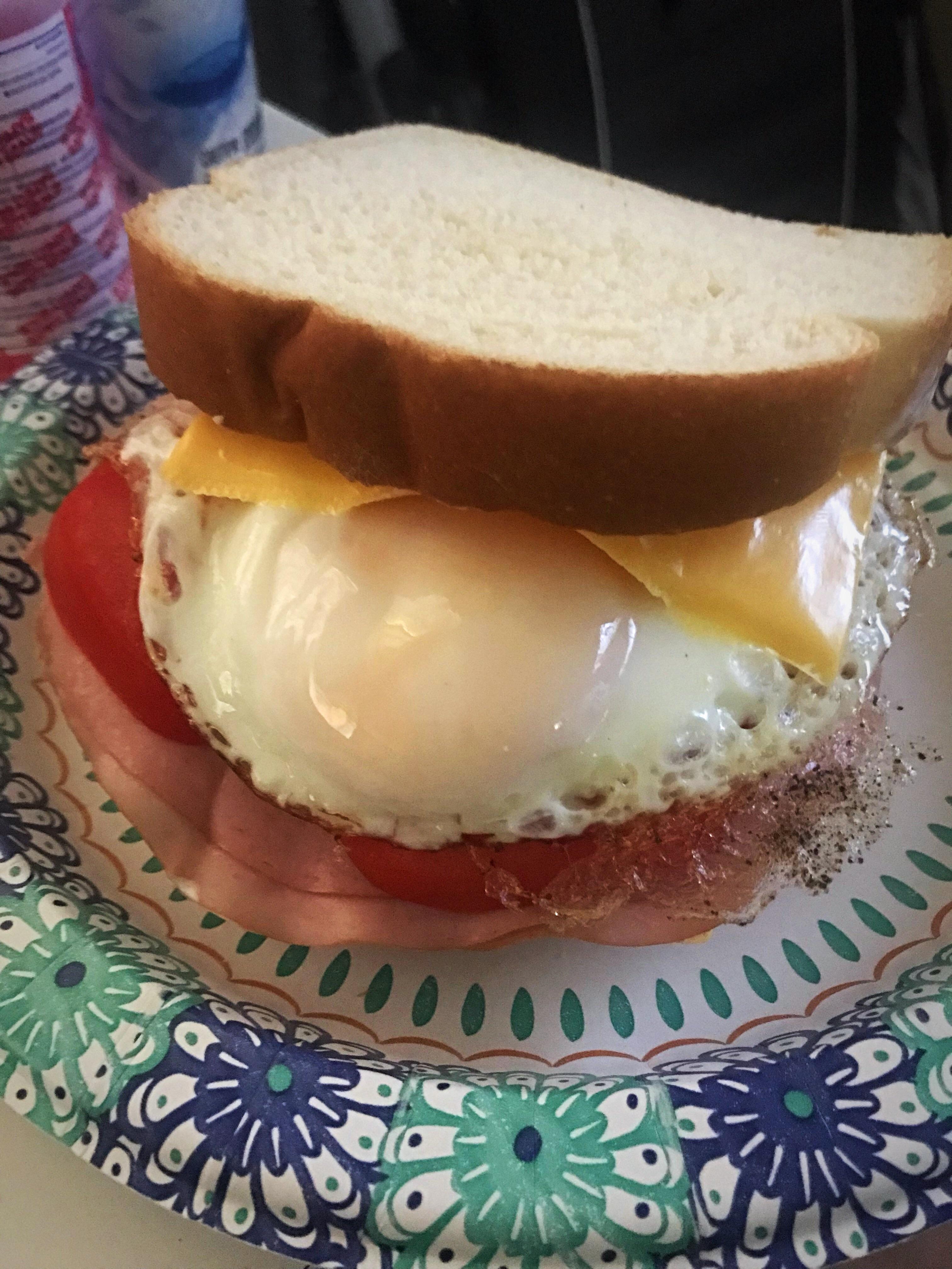 Spicy mustard, turkey, cheese and tomato sandwich with an egg r/PutAnEggOnIt