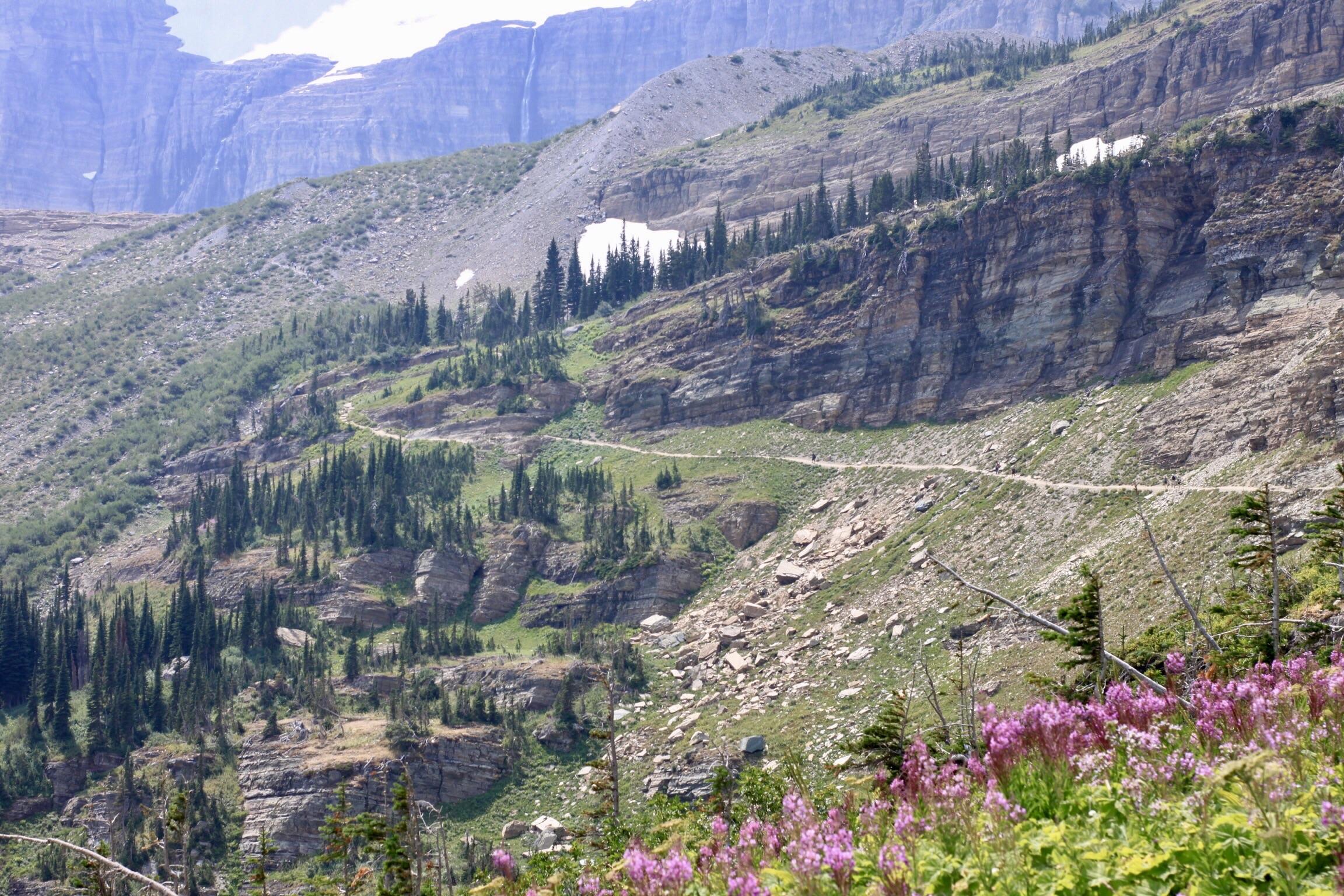 Highline trail at Glacier National Park (4752 x 3168) (OC) r/EarthPorn