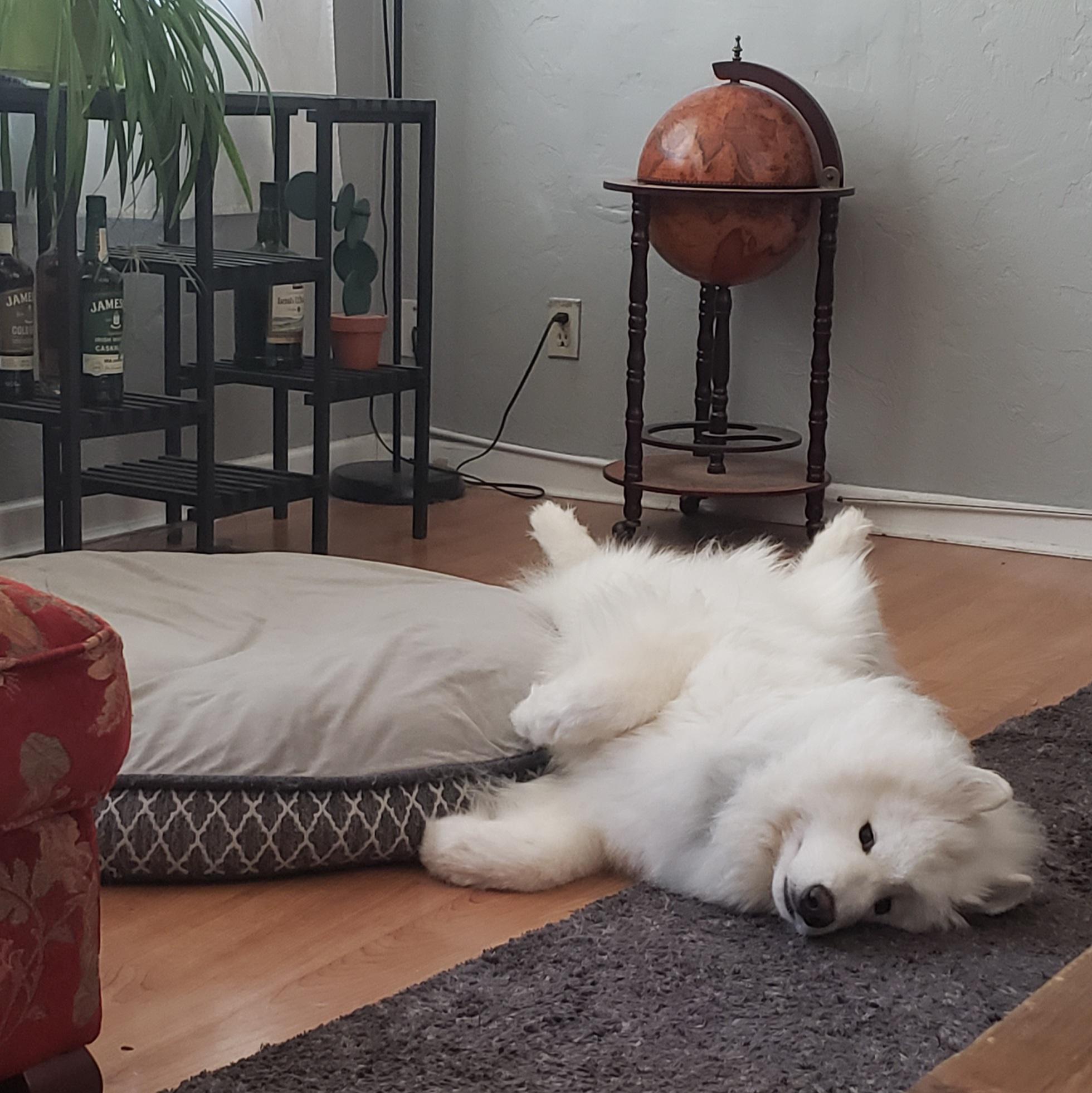 Adding another submission to the silly sleepers mine doesn't know how