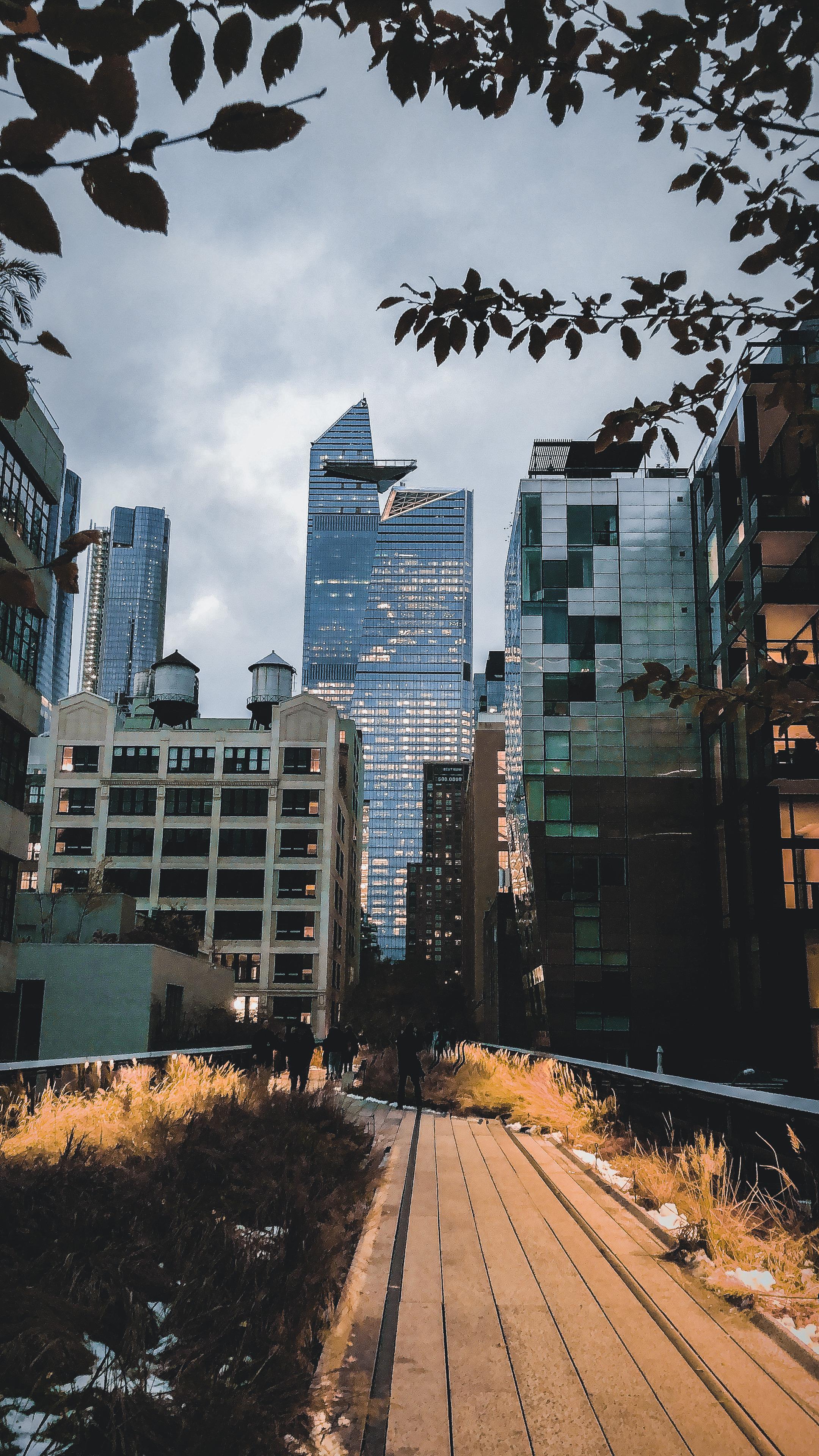 The High Line, New York City pics