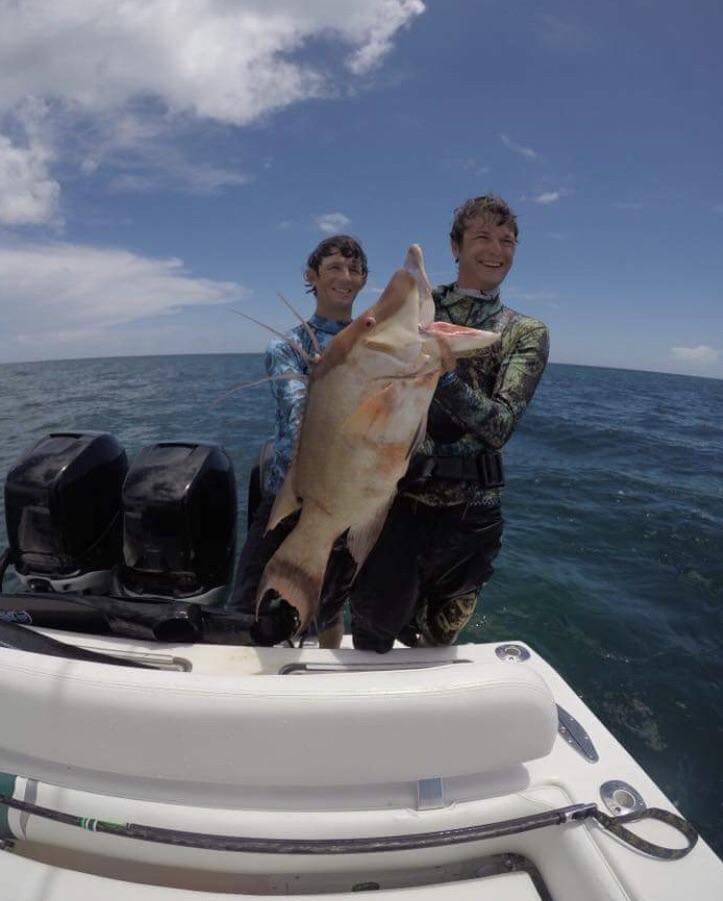 PB Hogfish 19 lbs Abaco Bahamas r/Spearfishing