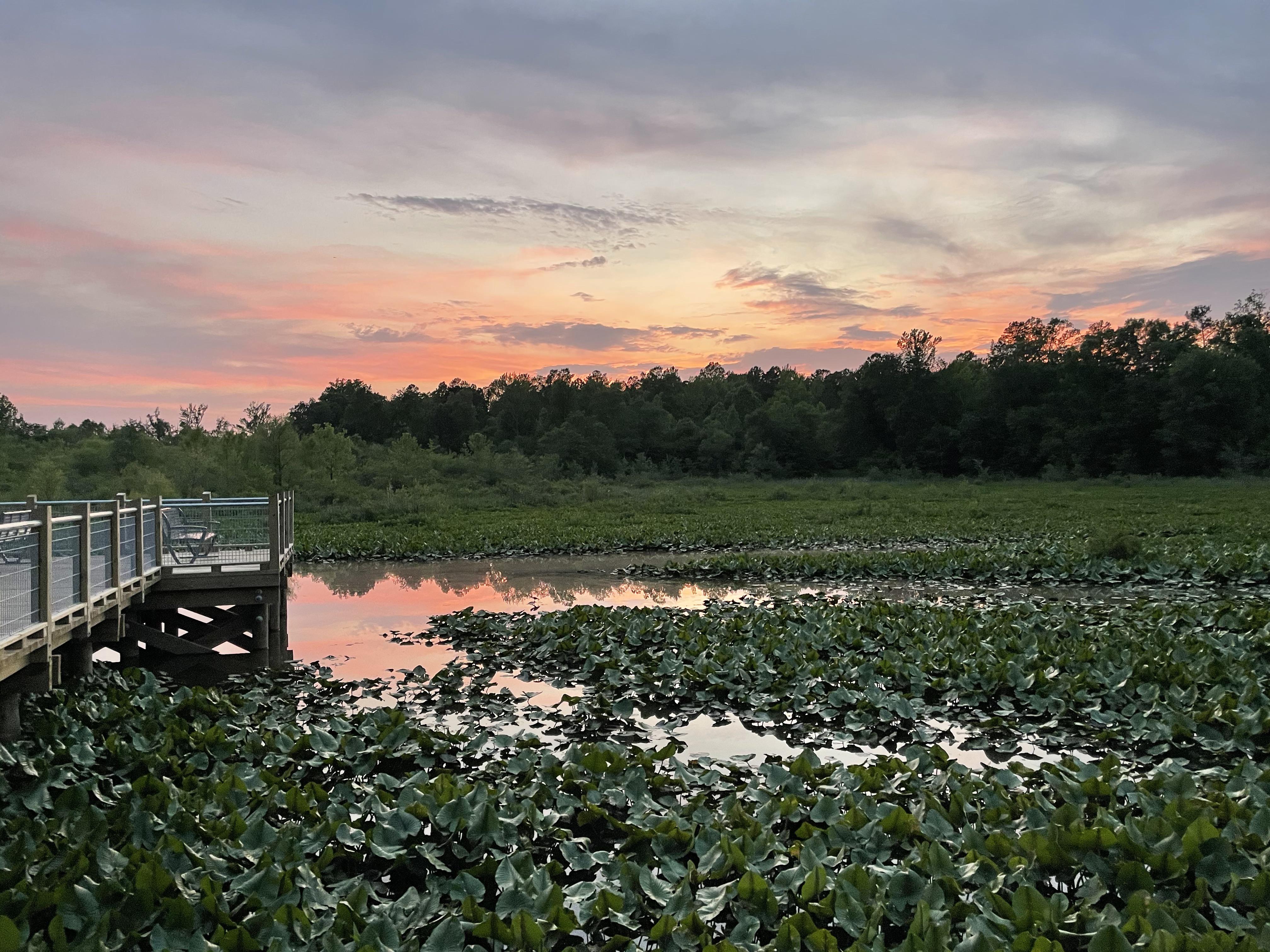 Sunset at Tuckahoe Creek Park last night r/rva