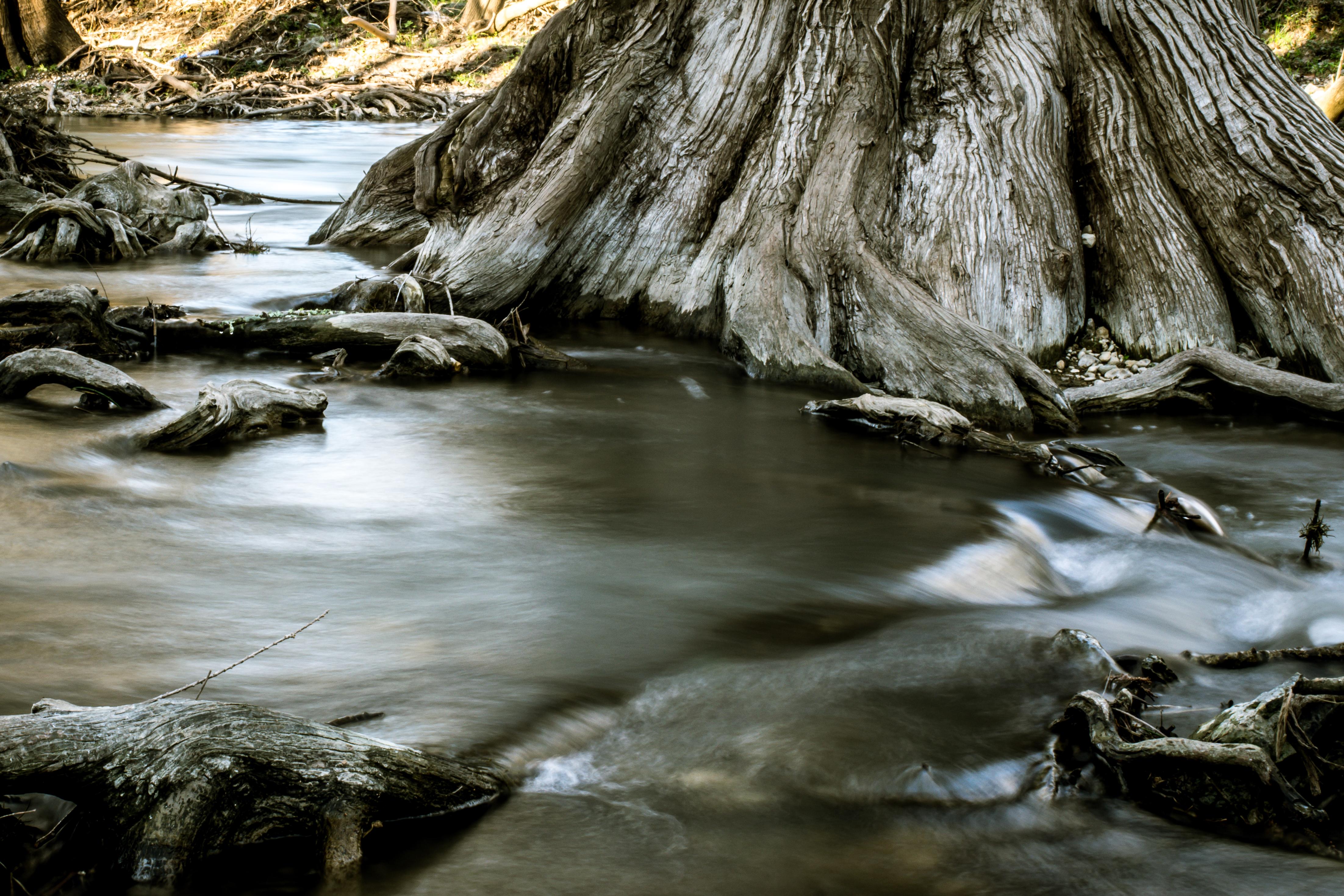Long Exposure of the Medina RiverCastroville, TX r/AmateurPhotography