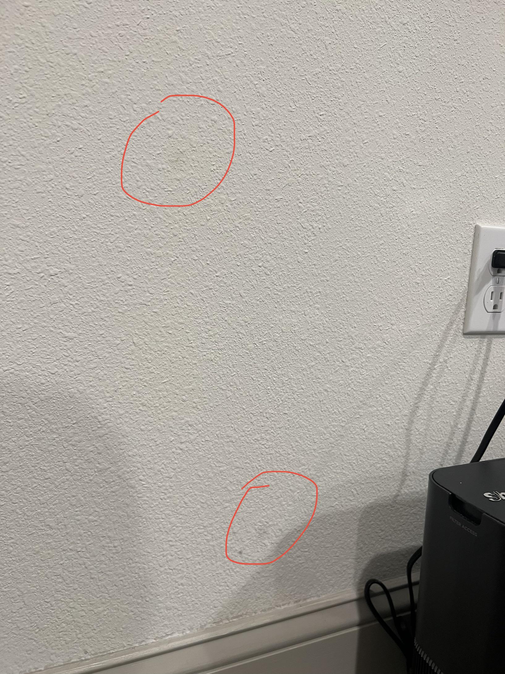 Does this look like mold? We did mold tests and came back positive. r/ibs