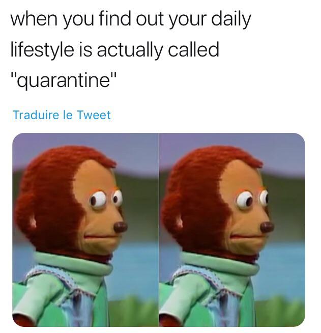 Where's a hole I can crawl into? introvertmemes