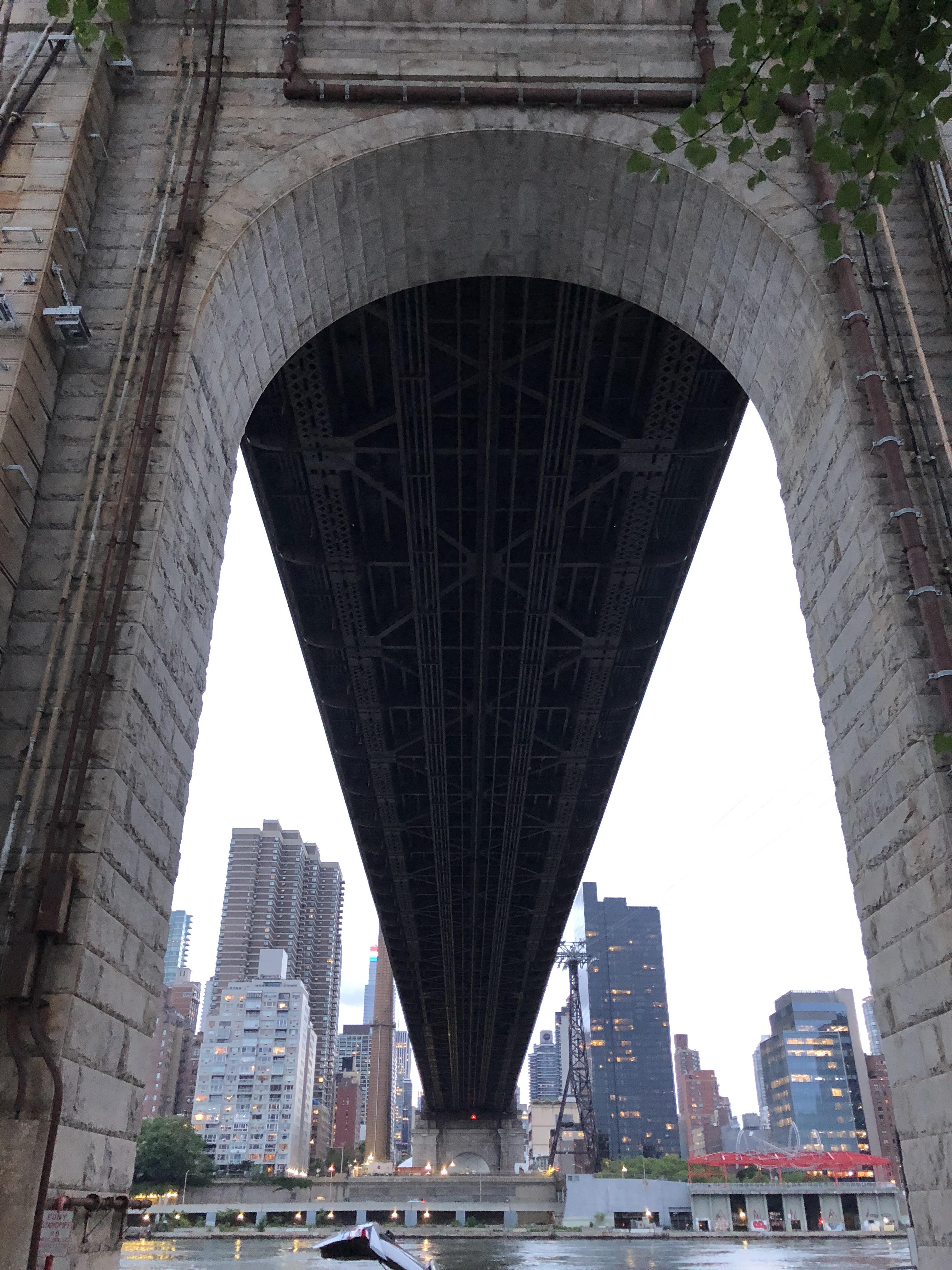 A view from Roosevelt Island. r/nyc