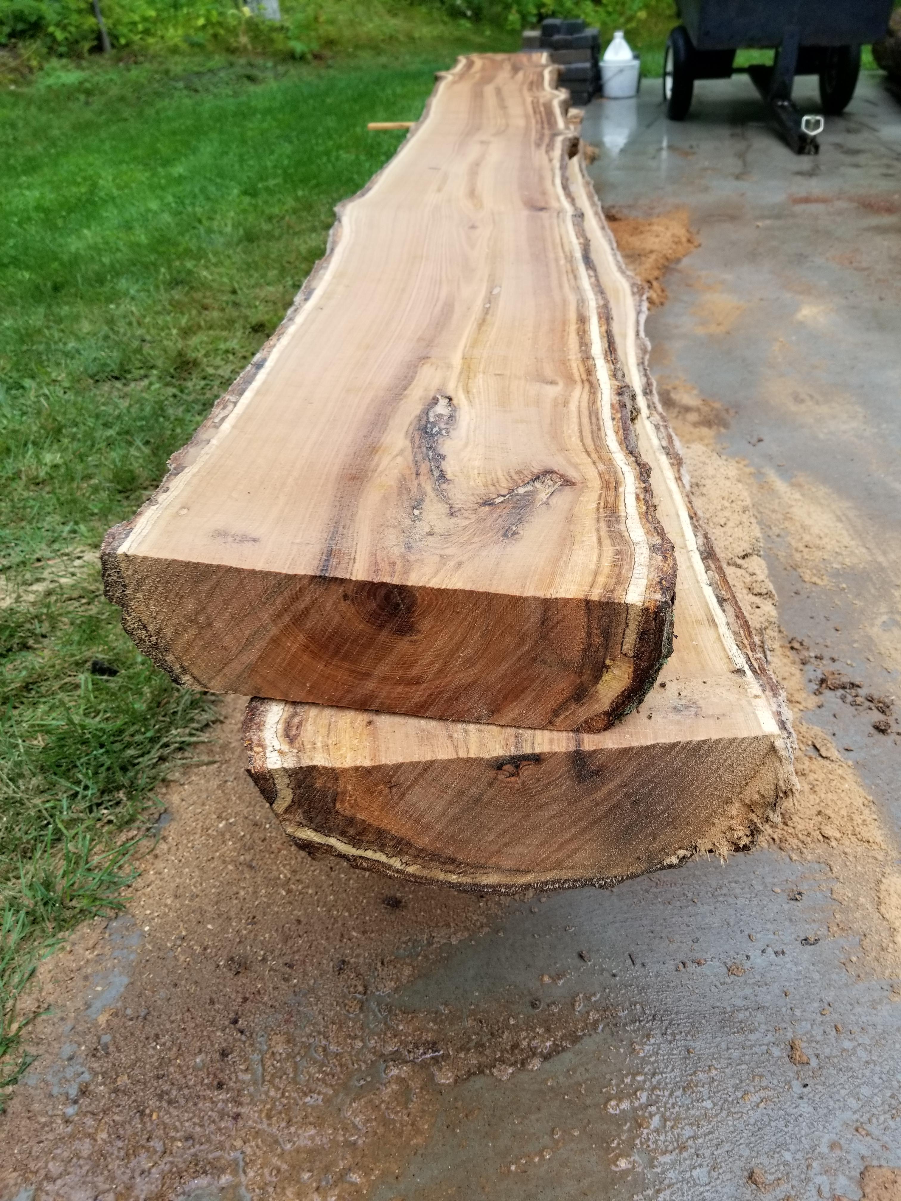 Minnesota Red Oak r/woodworking