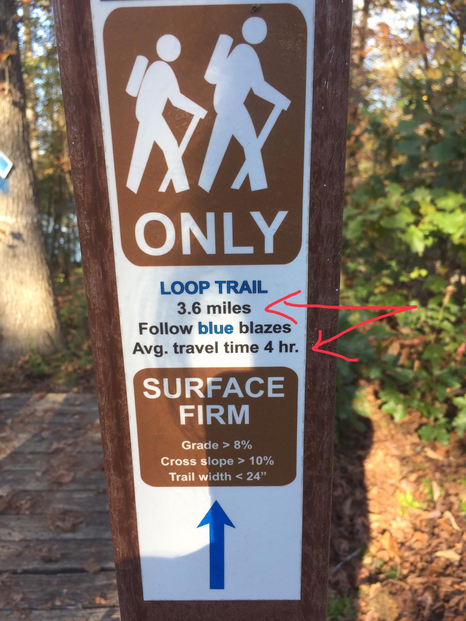 Came across this on an easy trail in Tugaloo State Park in Lavonia