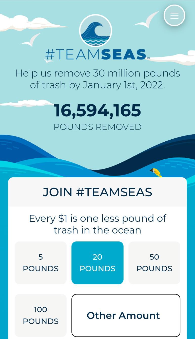 Can we encourge Elon to Donate to Team Seas since he was also a big