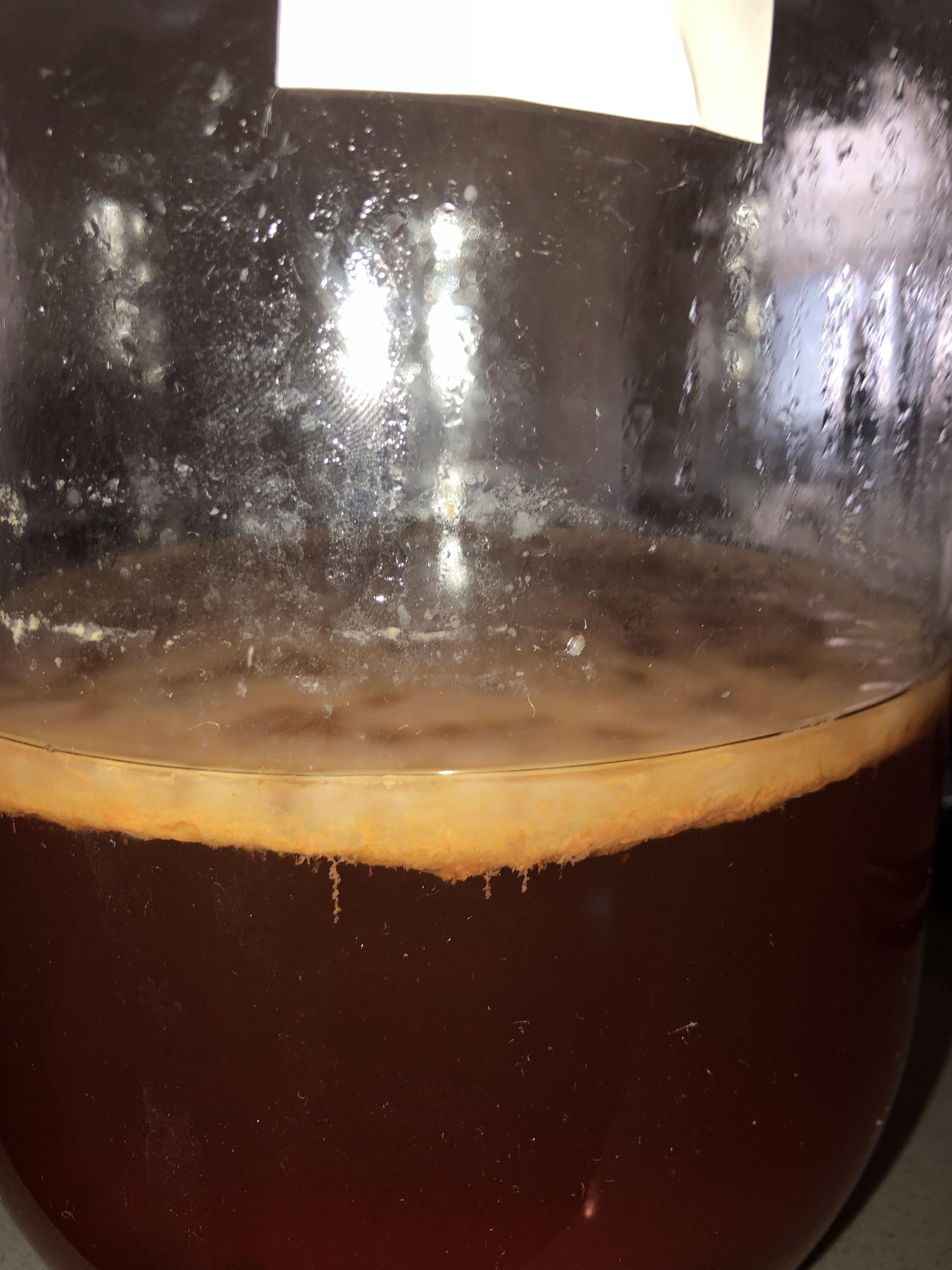 Almost 4 week old SCOBY development. Why is my tea still so dark? And