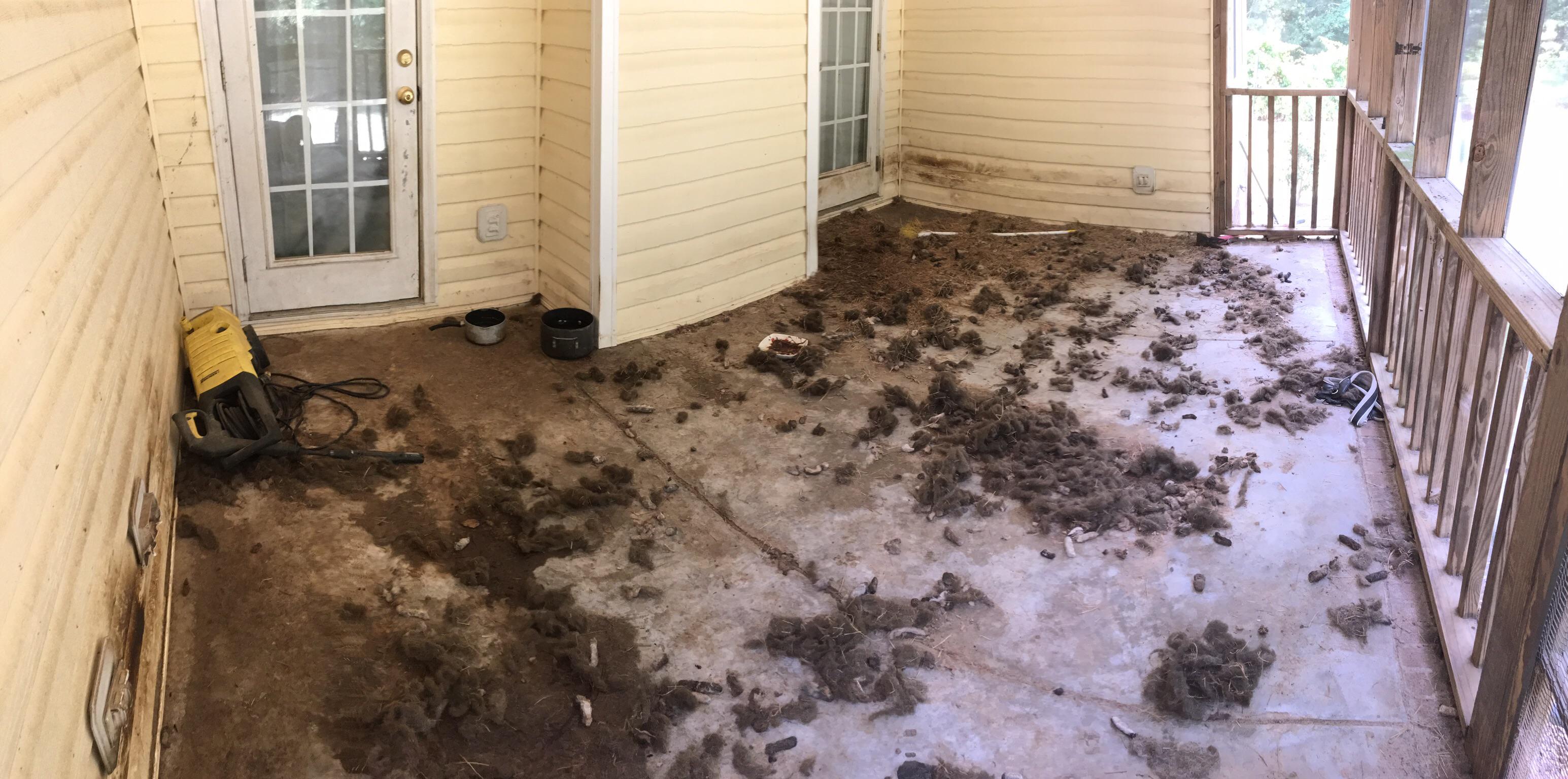 My neighbors back deck, that’s all dog poop and dog fur r