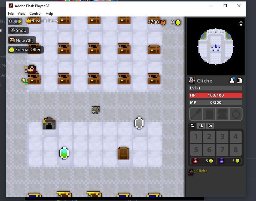 I turned into my pet while trying to put something in my vault??? r/RotMG