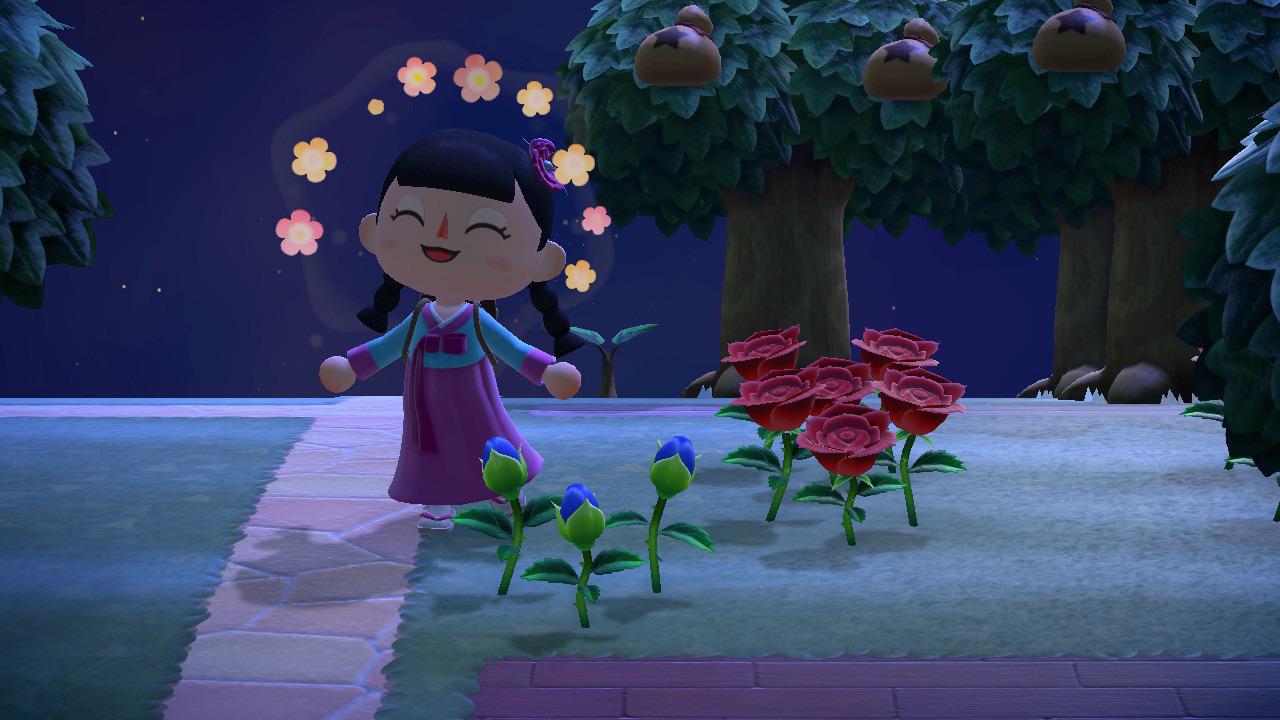 1782 best Blue Roses images on Pholder Animal Crossing, Ac