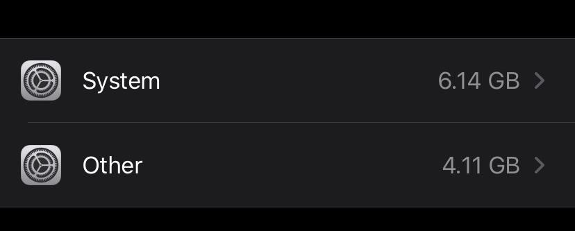 When I was going through my iPhone storage, I noticed that this “Other