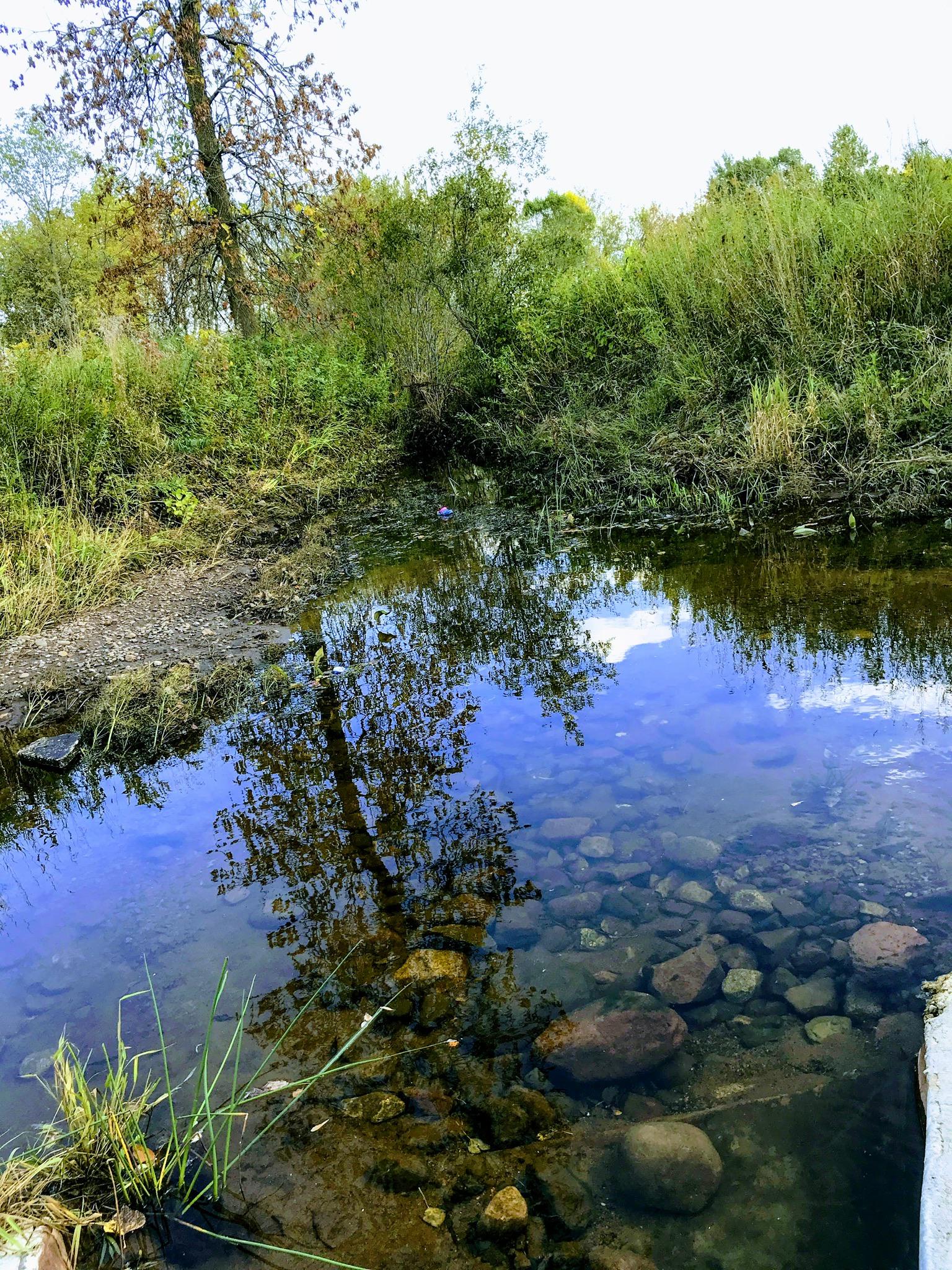 Stream near Foley Minnesota [oc] [3024x4032] r/EarthPorn