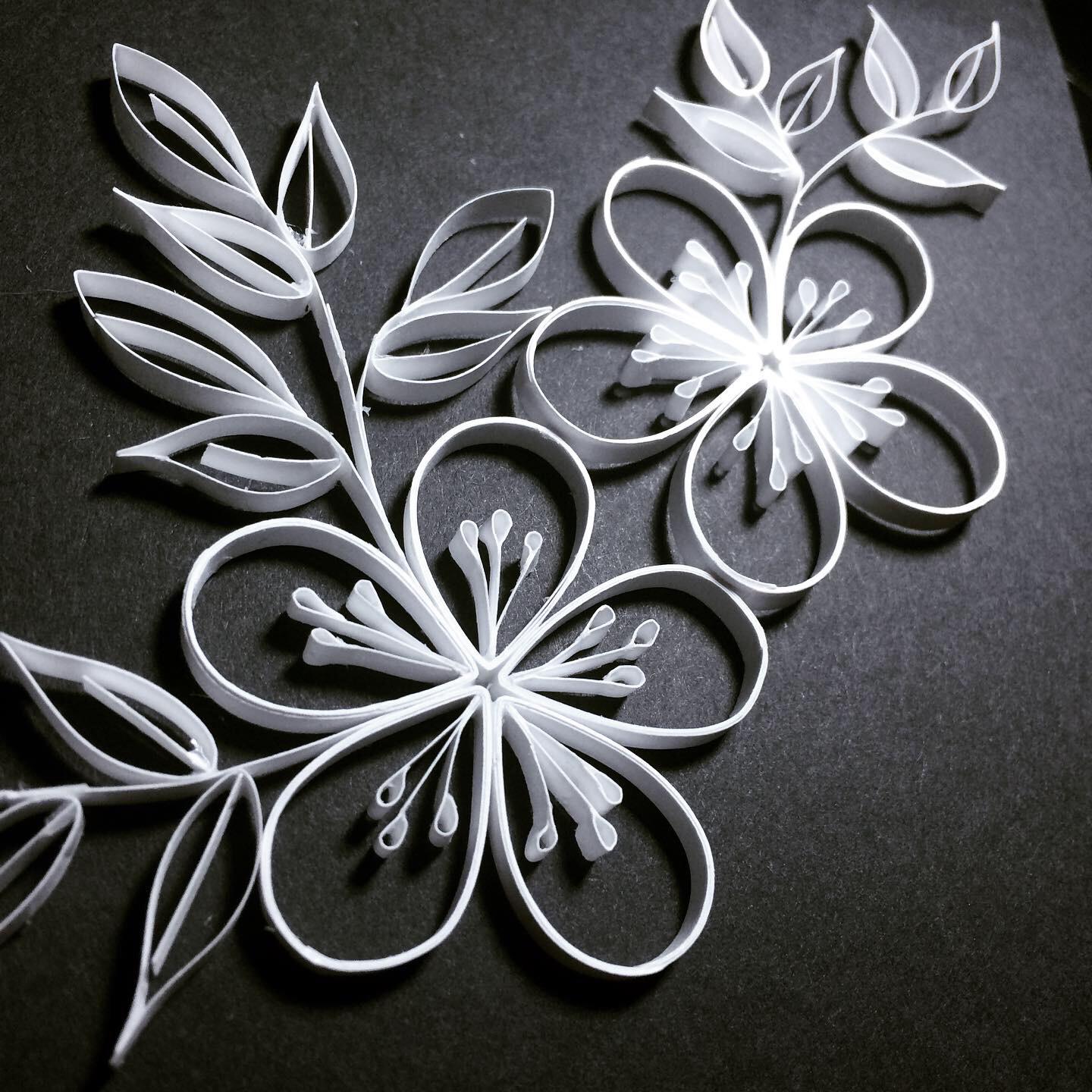 White quilled flowers r/quilling