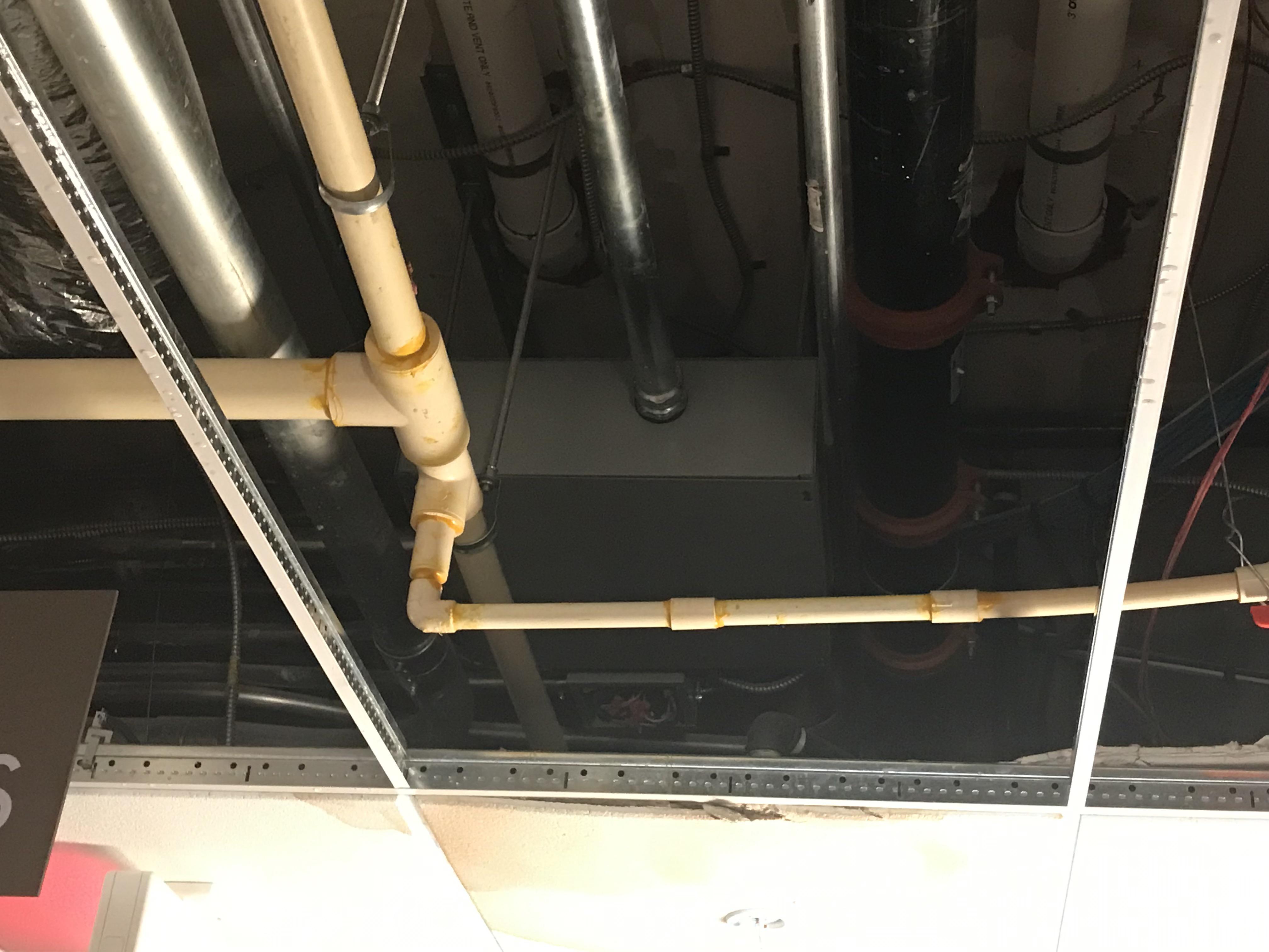 First cpvc job at a hotel r/Plumbing