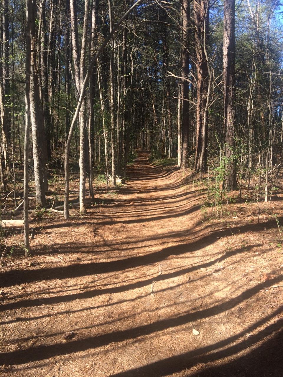 Crowders Mountain,NC r/camping
