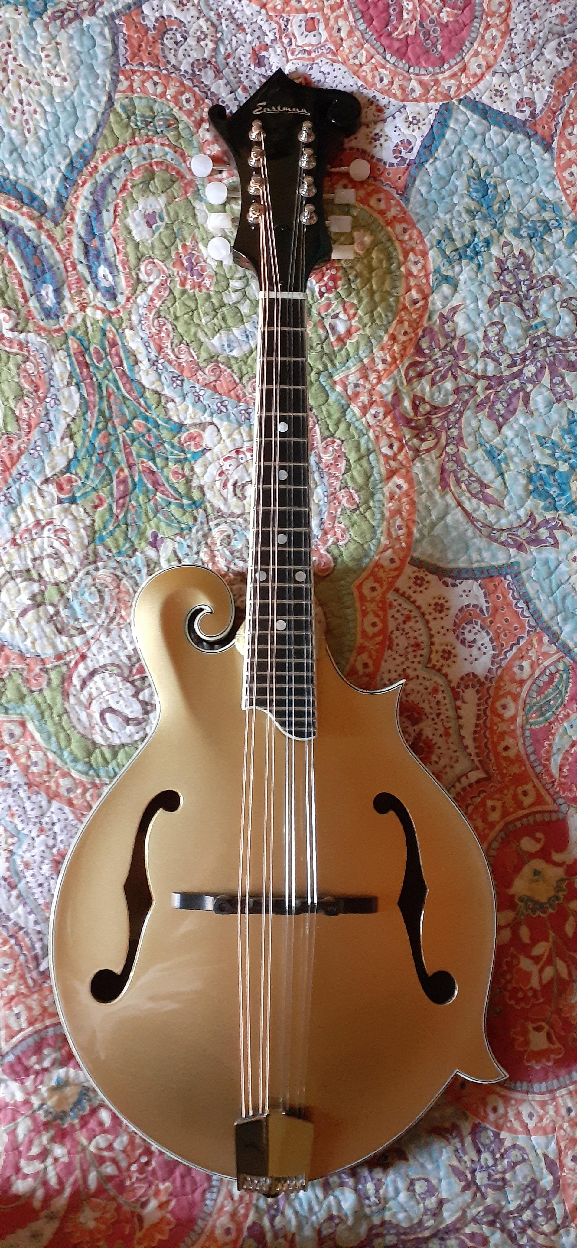 My new (and first) mandolin! I'm so excited to start another musical