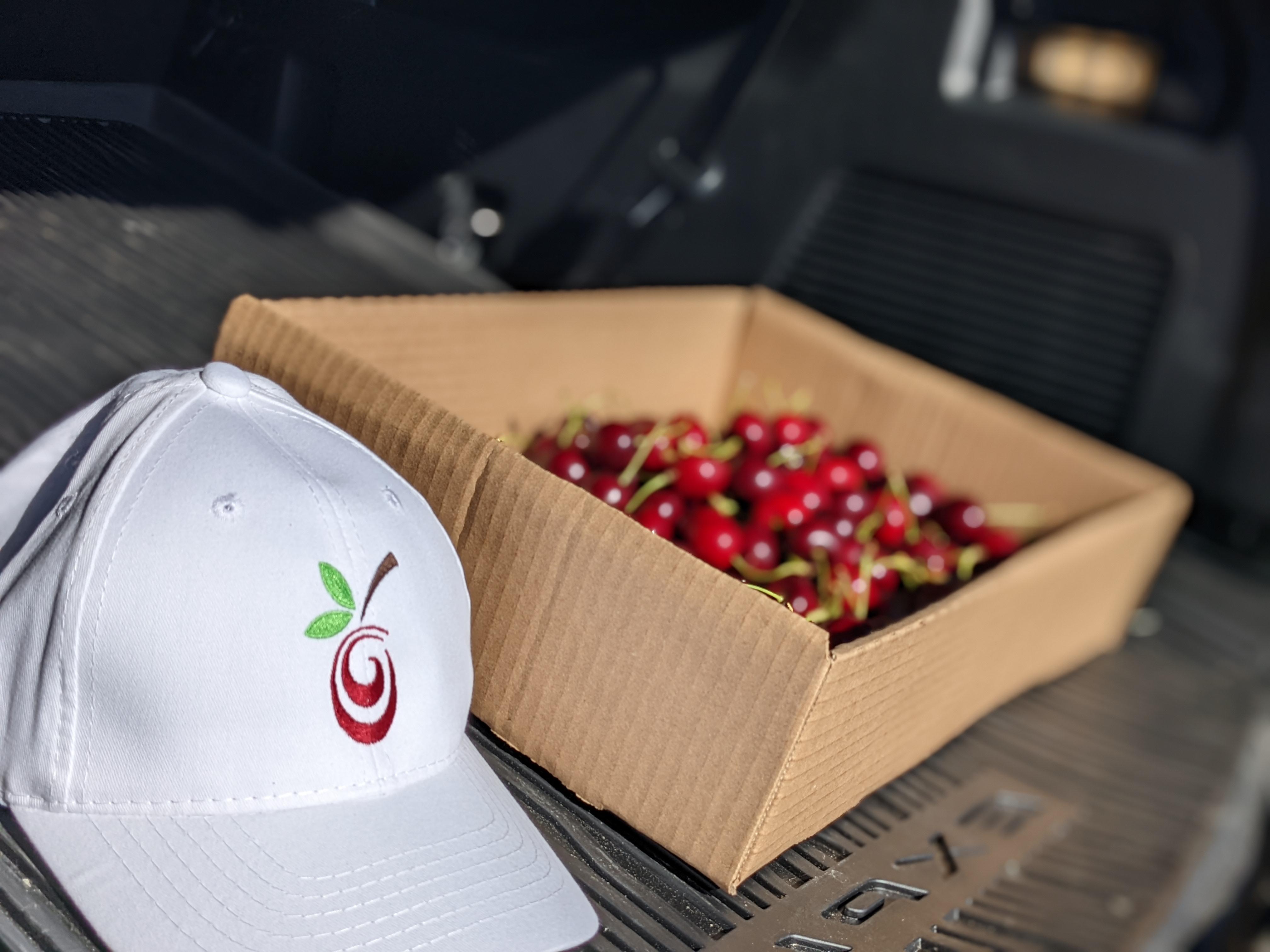 A must to do during the summer Pick Cherries r/kelowna