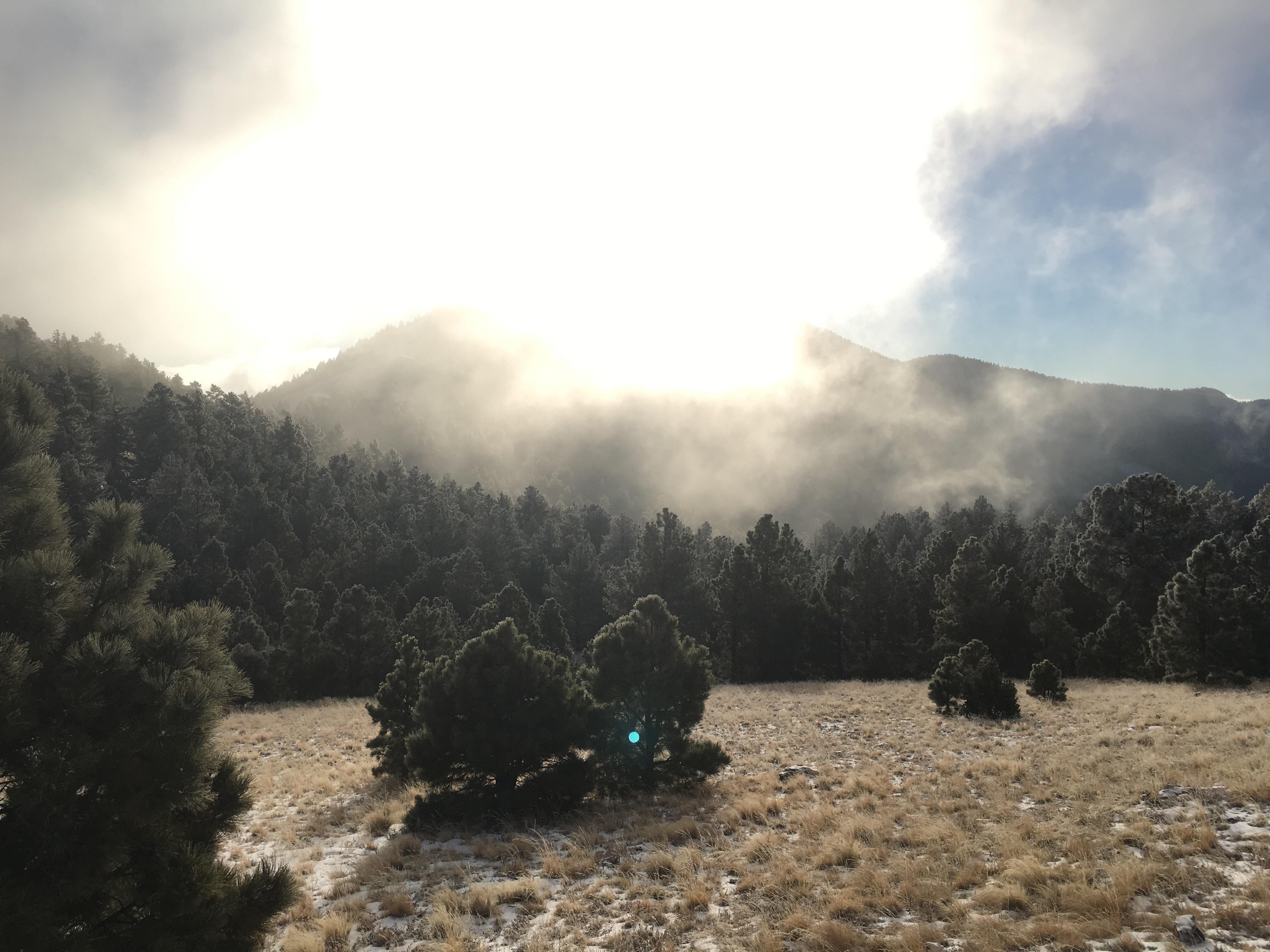 Woke up after a small snow storm in the Magdalena mountains, New Mexico. r/backpacking