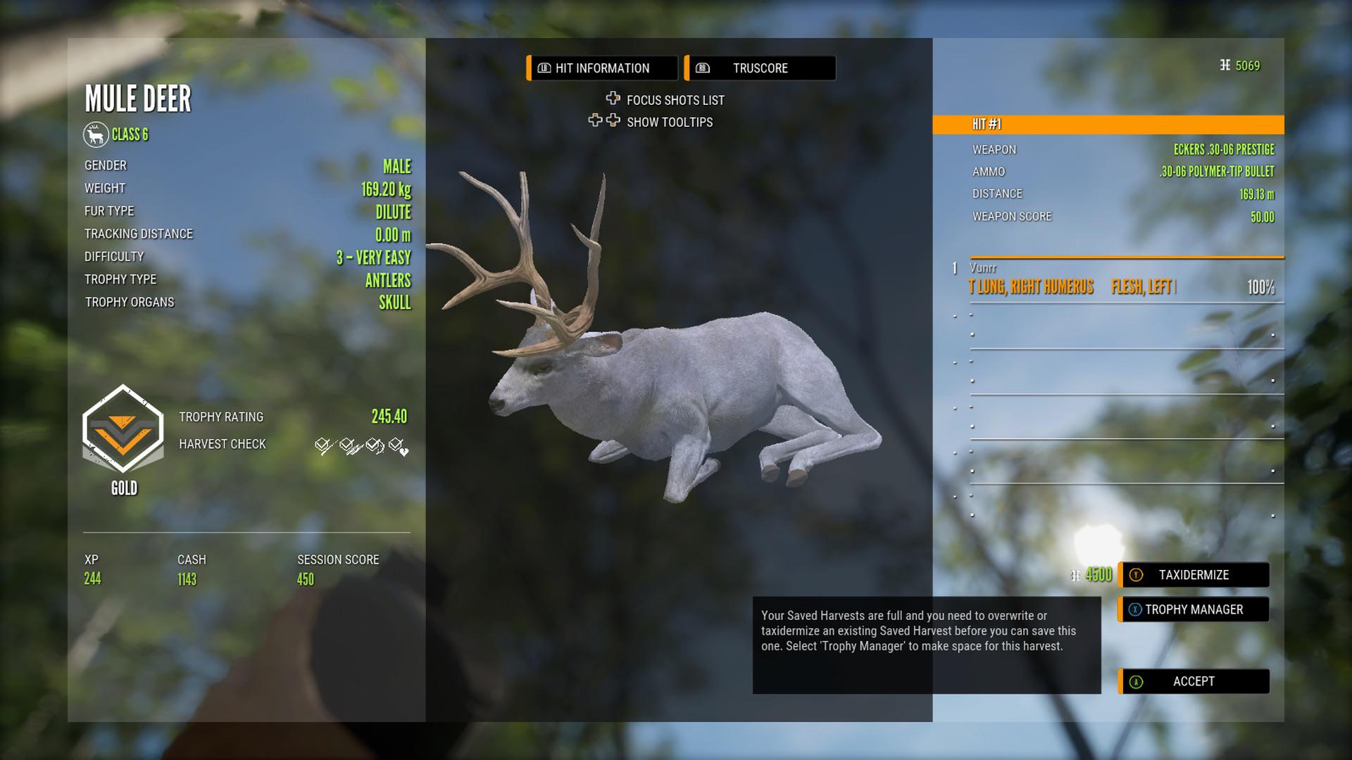 Are dilute mule deers rare? r/theHunter