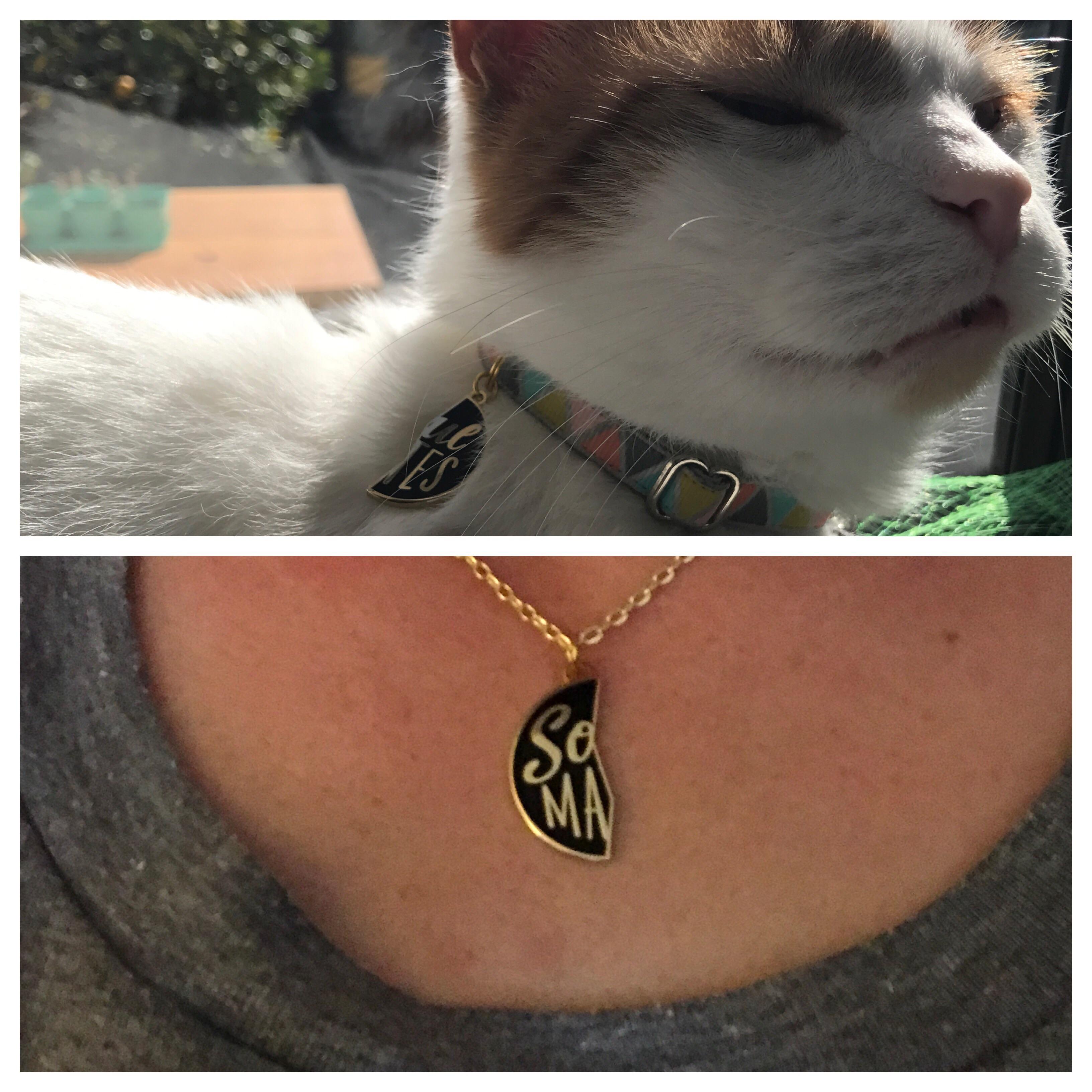 My cat and I got a 'Soul Mates' friendship necklace! r/cats