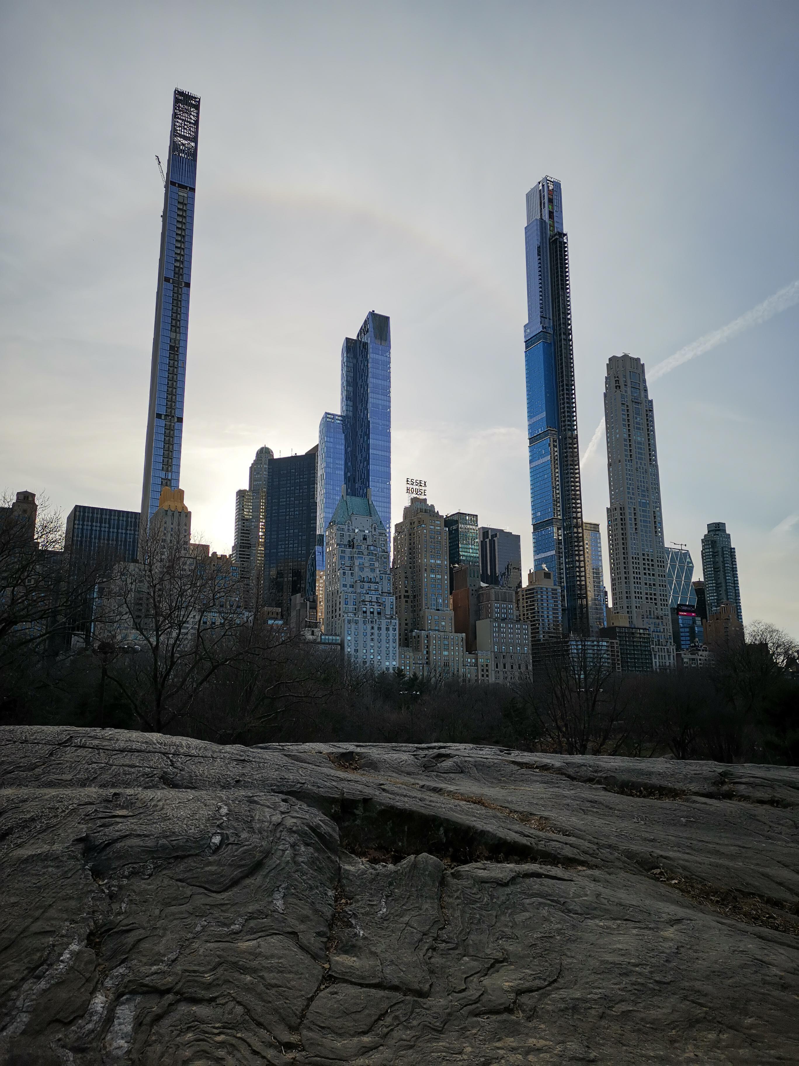 Central Park Today (01/24/2021) r/newyorkcity